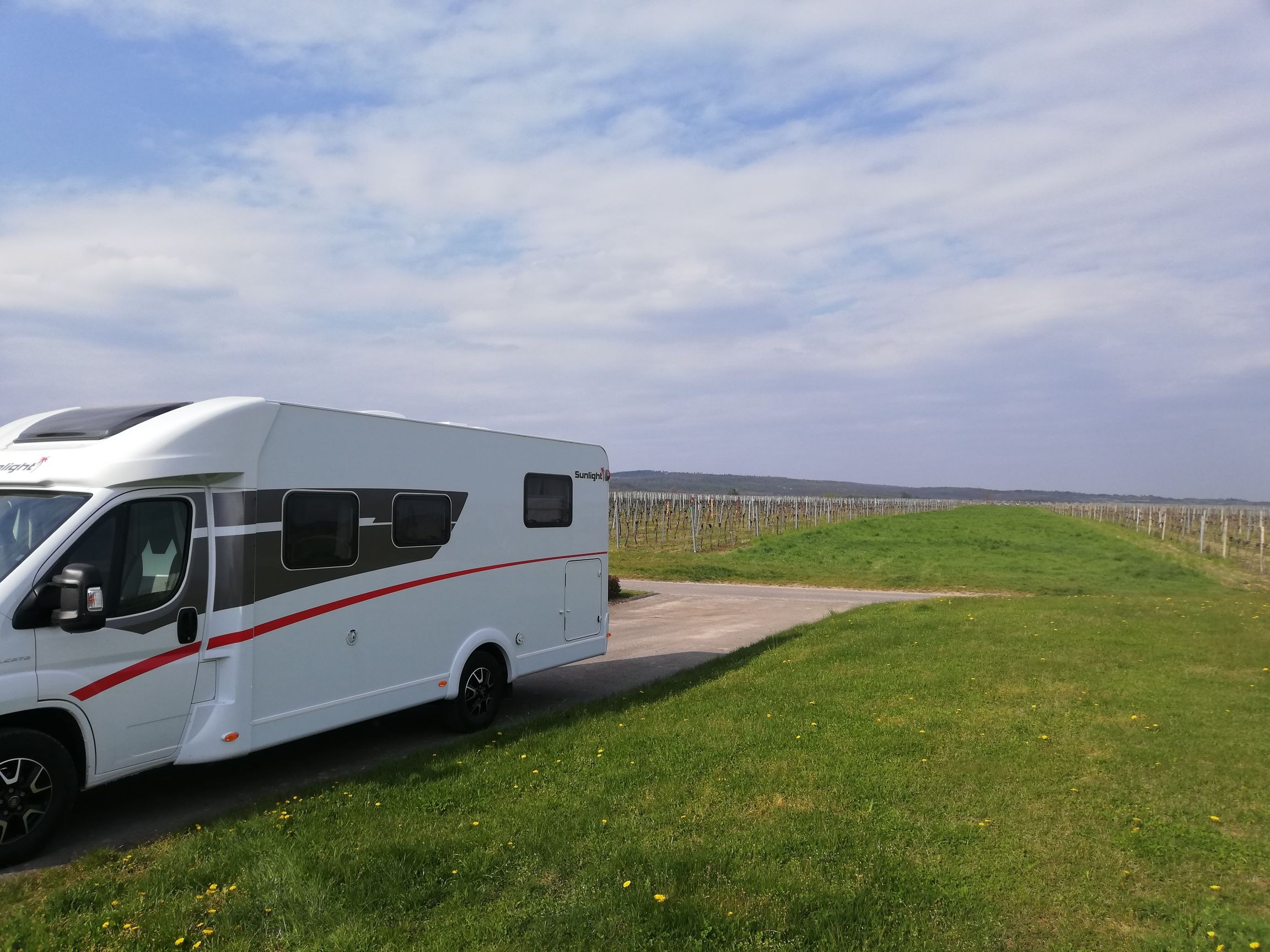 Motorhome on a pitch next to a vineyard under a blue sky.