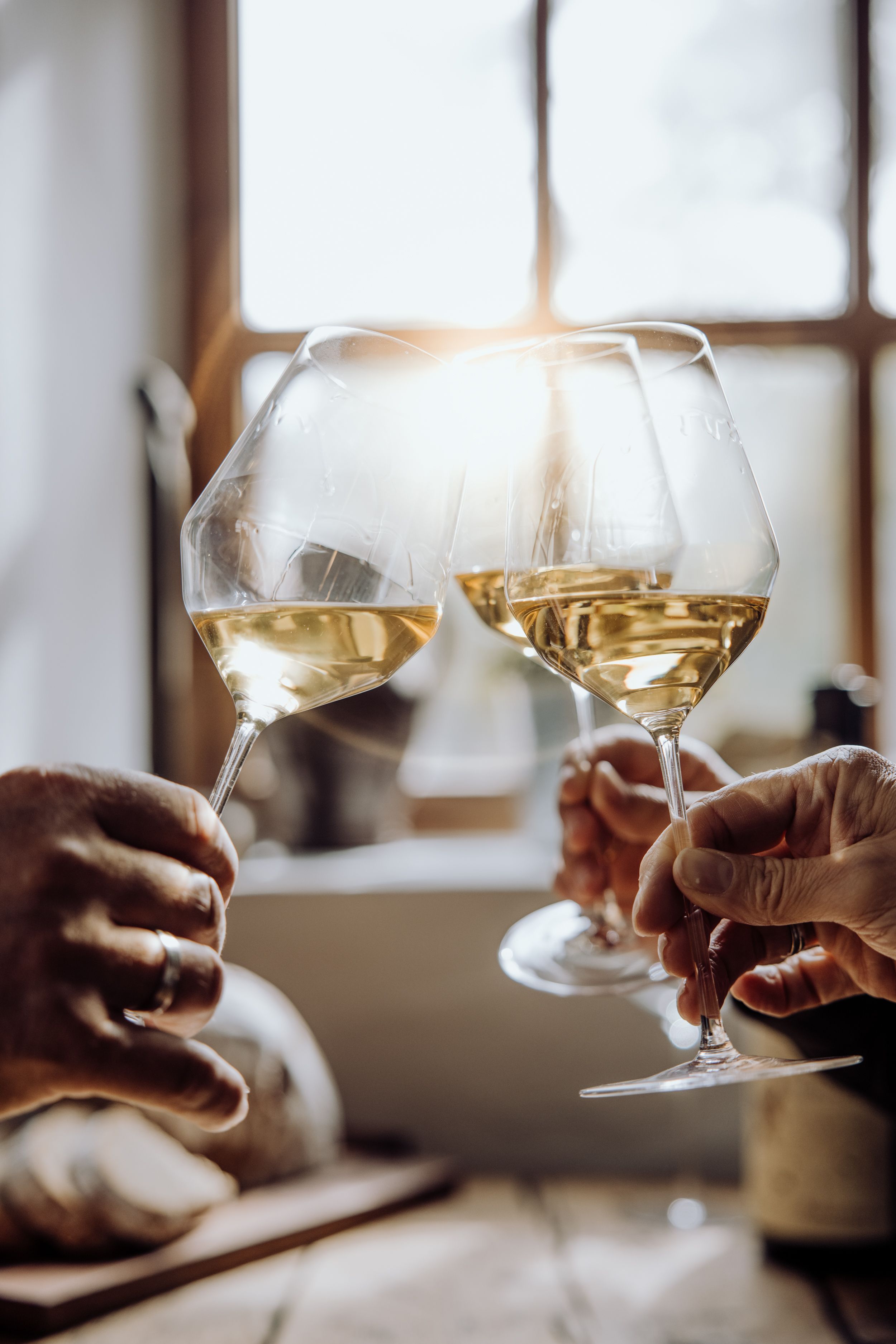 Three people clink glasses of white wine, sunlight in the background.