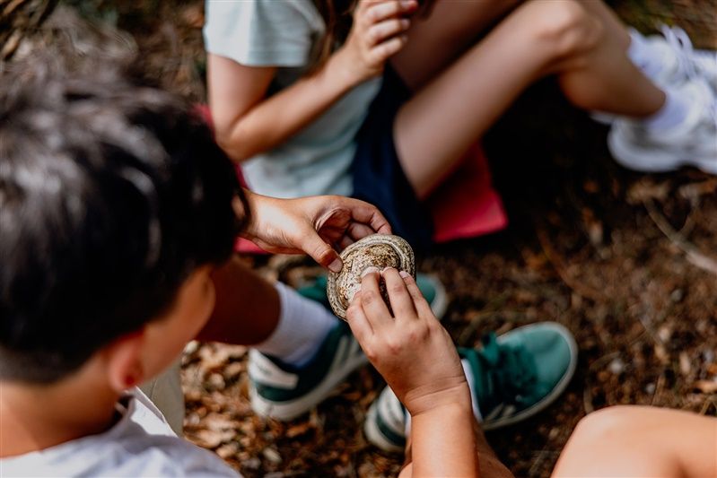 Children look at a mushroom in the forest.