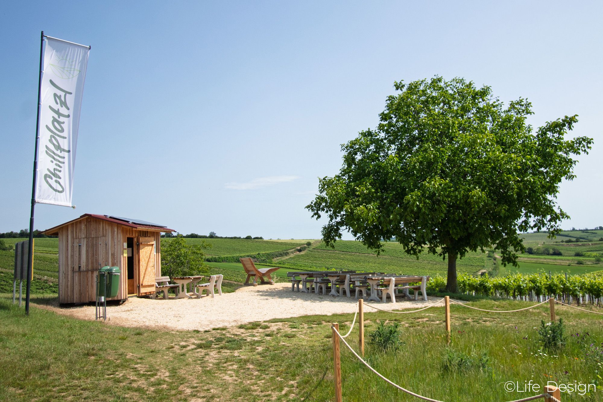 A rest area with a wooden cabin, tables, and chairs, nestled among vineyards under a tree.