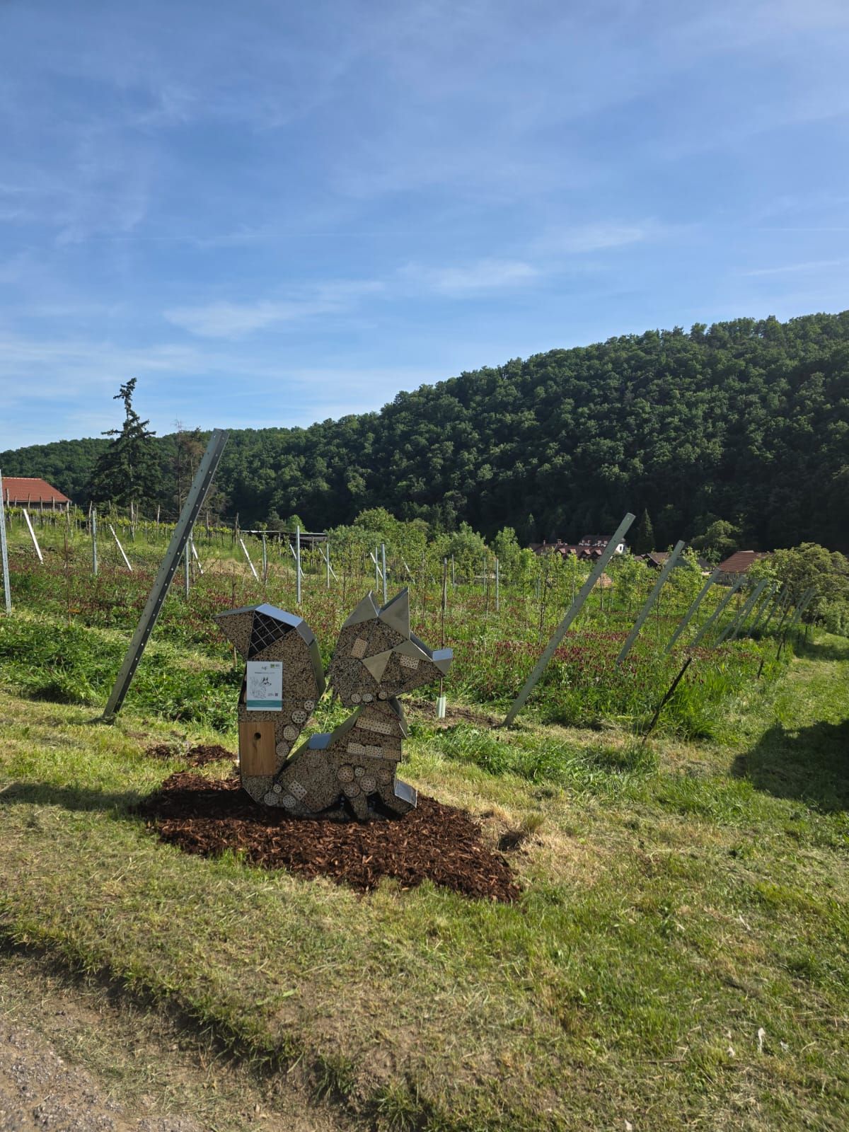 Viticulture Manuel Fuchs