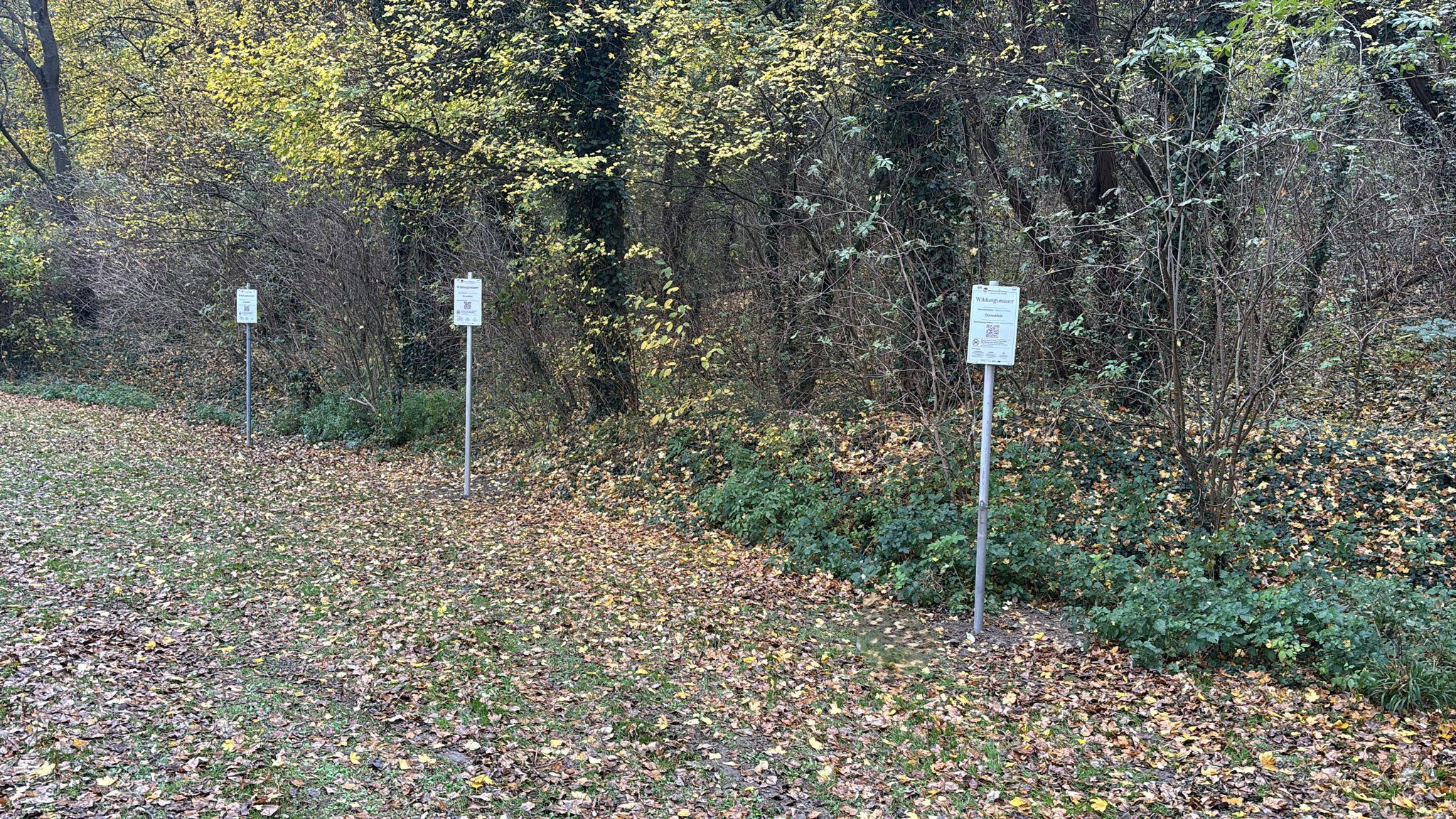 Pitch in front of a forest with signs. 