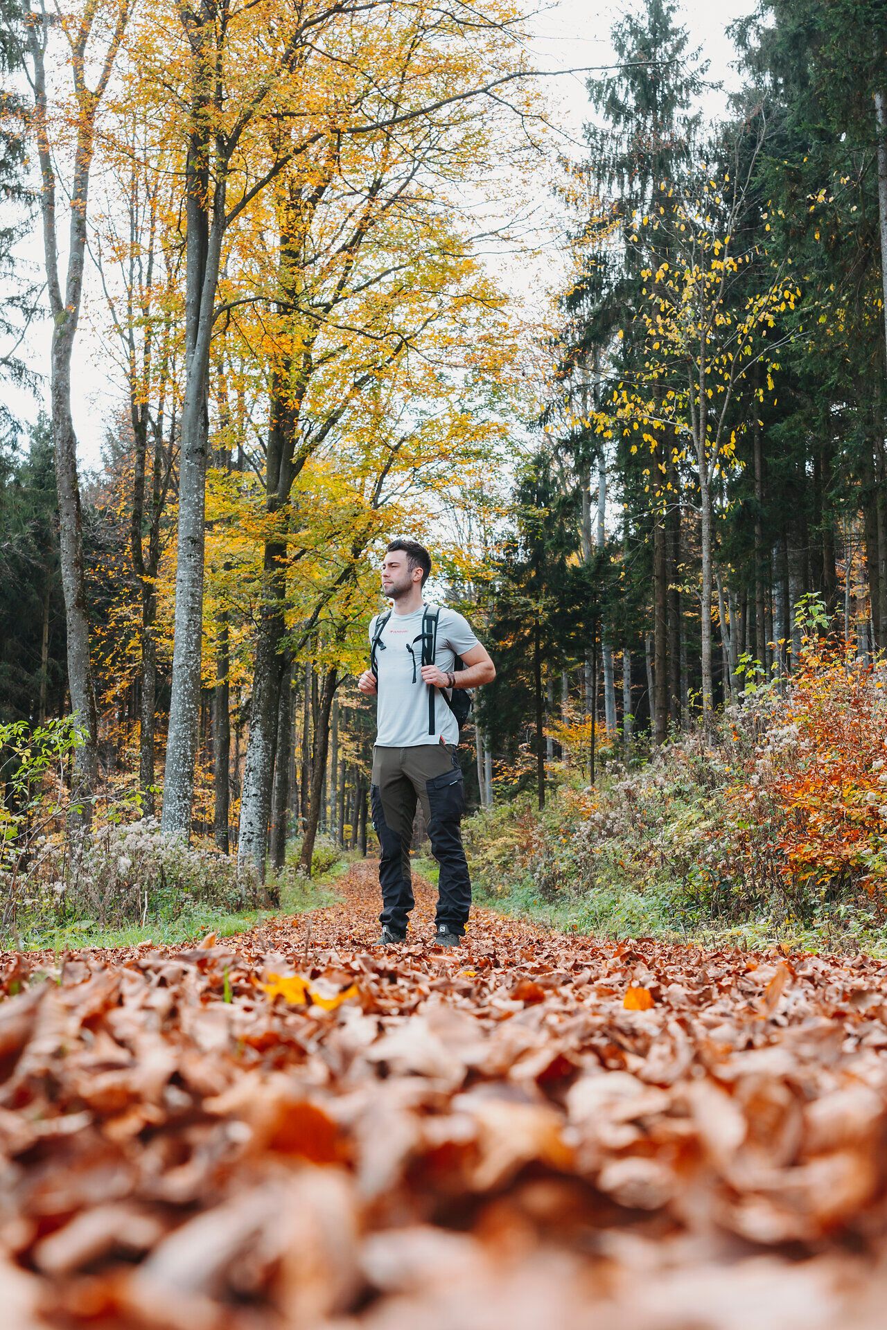 In the golden autumn landscape of the southern Waldviertel, an adventurer wanders through a sea of colorful leaves. The fresh air and gentle rays of sunshine create an inviting atmosphere that invites you to linger. Surrounded by majestic trees and tranquil nature, every step becomes an unforgettable experience.