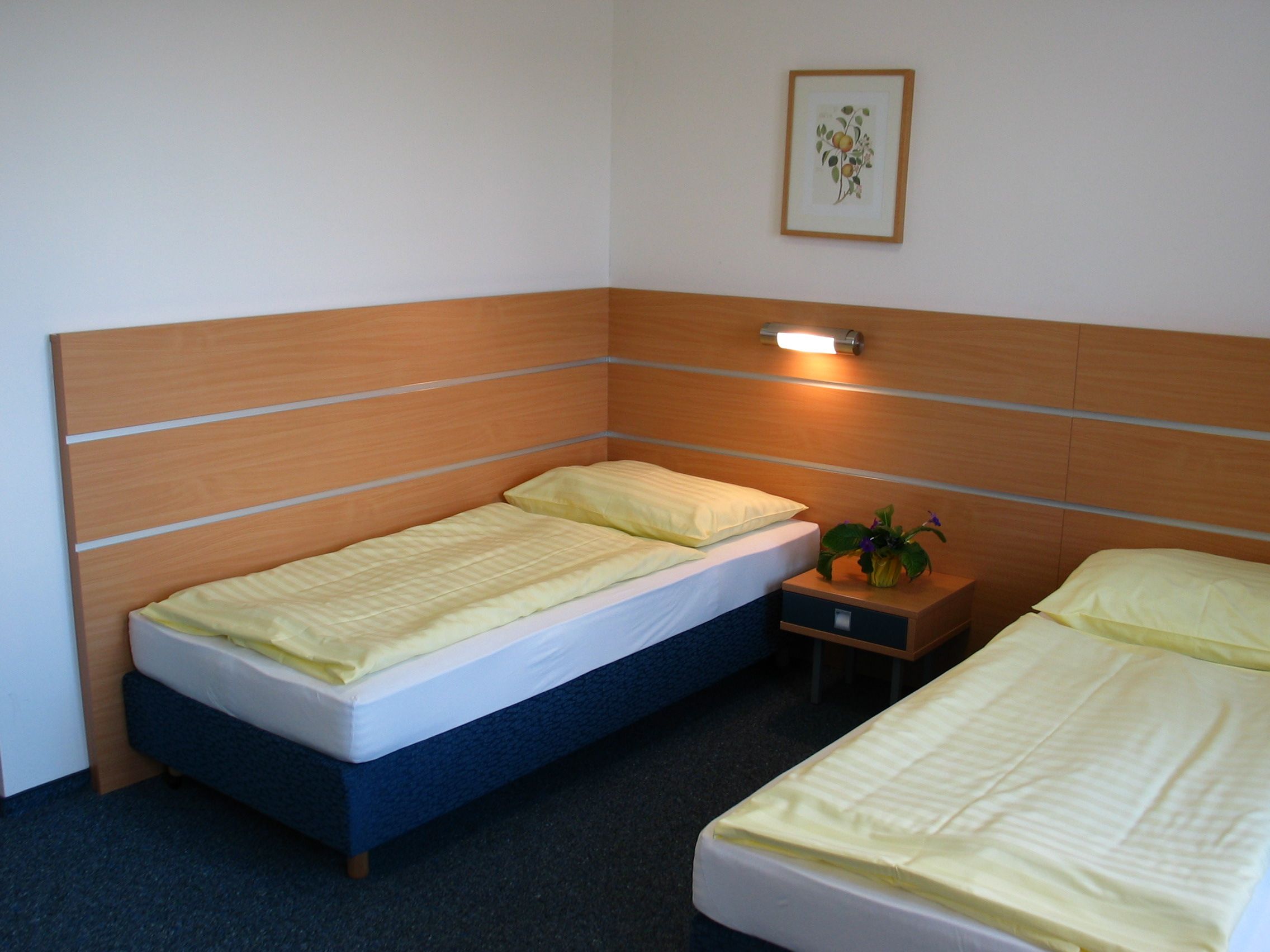 A simple hotel room with two single beds, a bedside table and a picture on the wall.