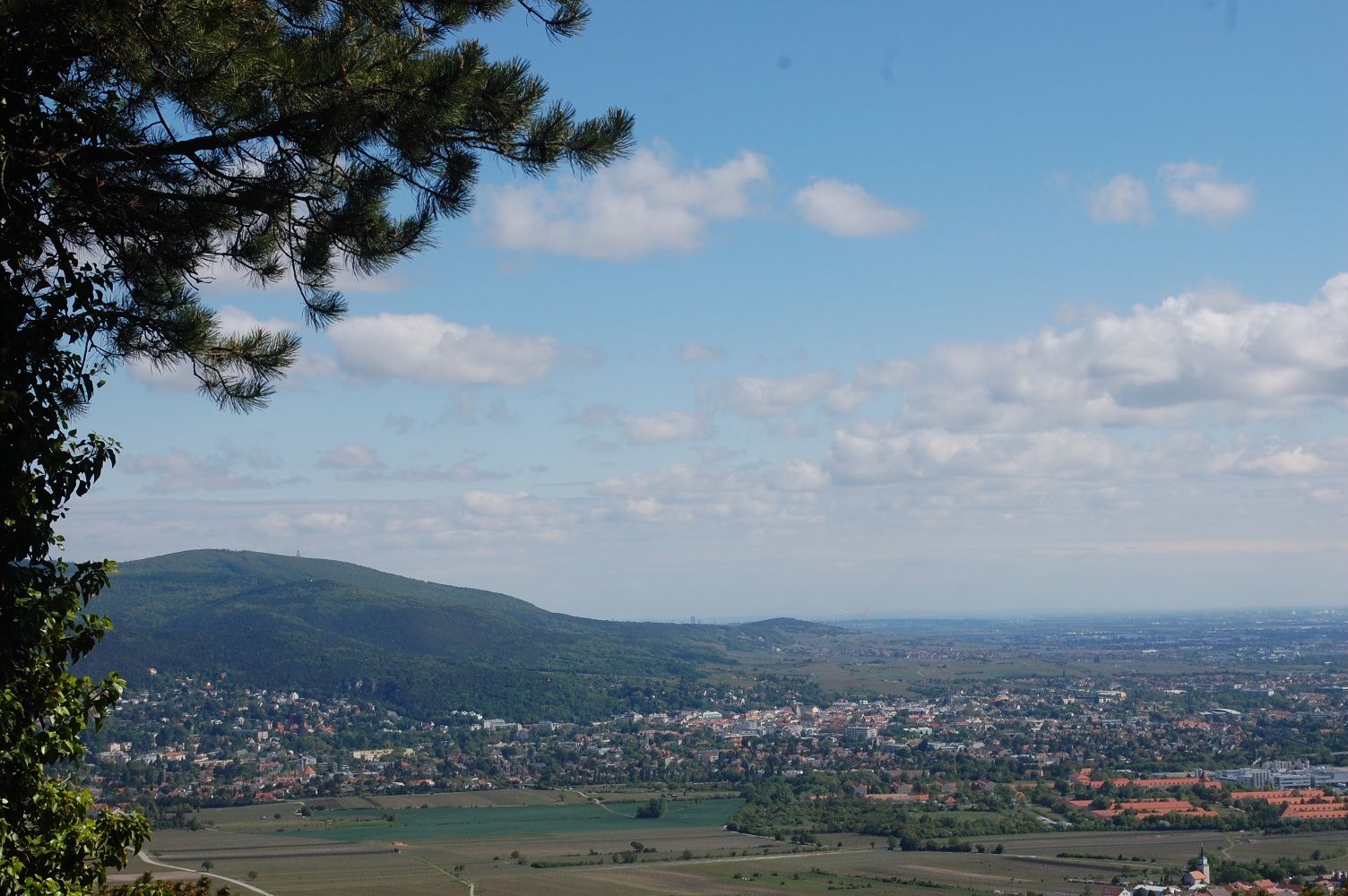 View from the Harzberg