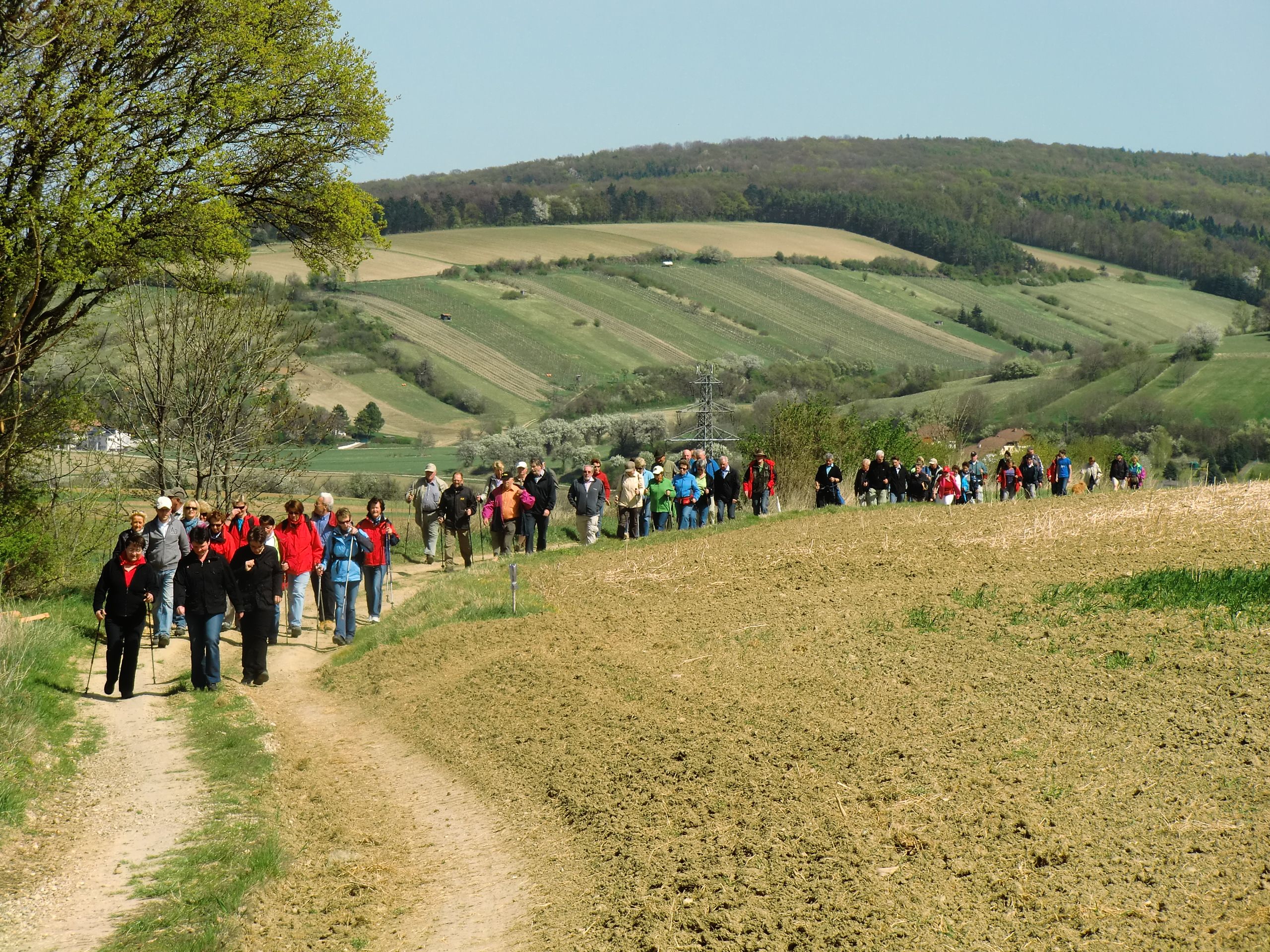 Group of people walking along a country lane in a hilly landscape.