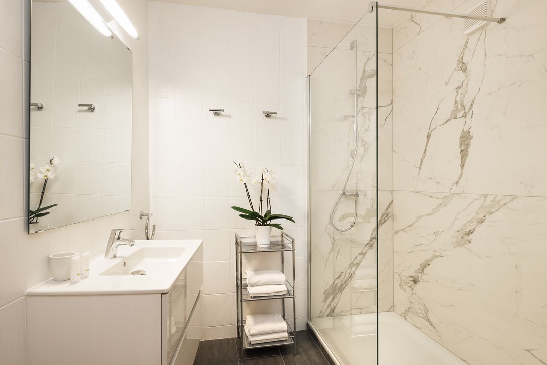 Modern bathroom with white washbasin, mirror, glass shower and orchid on a shelf.