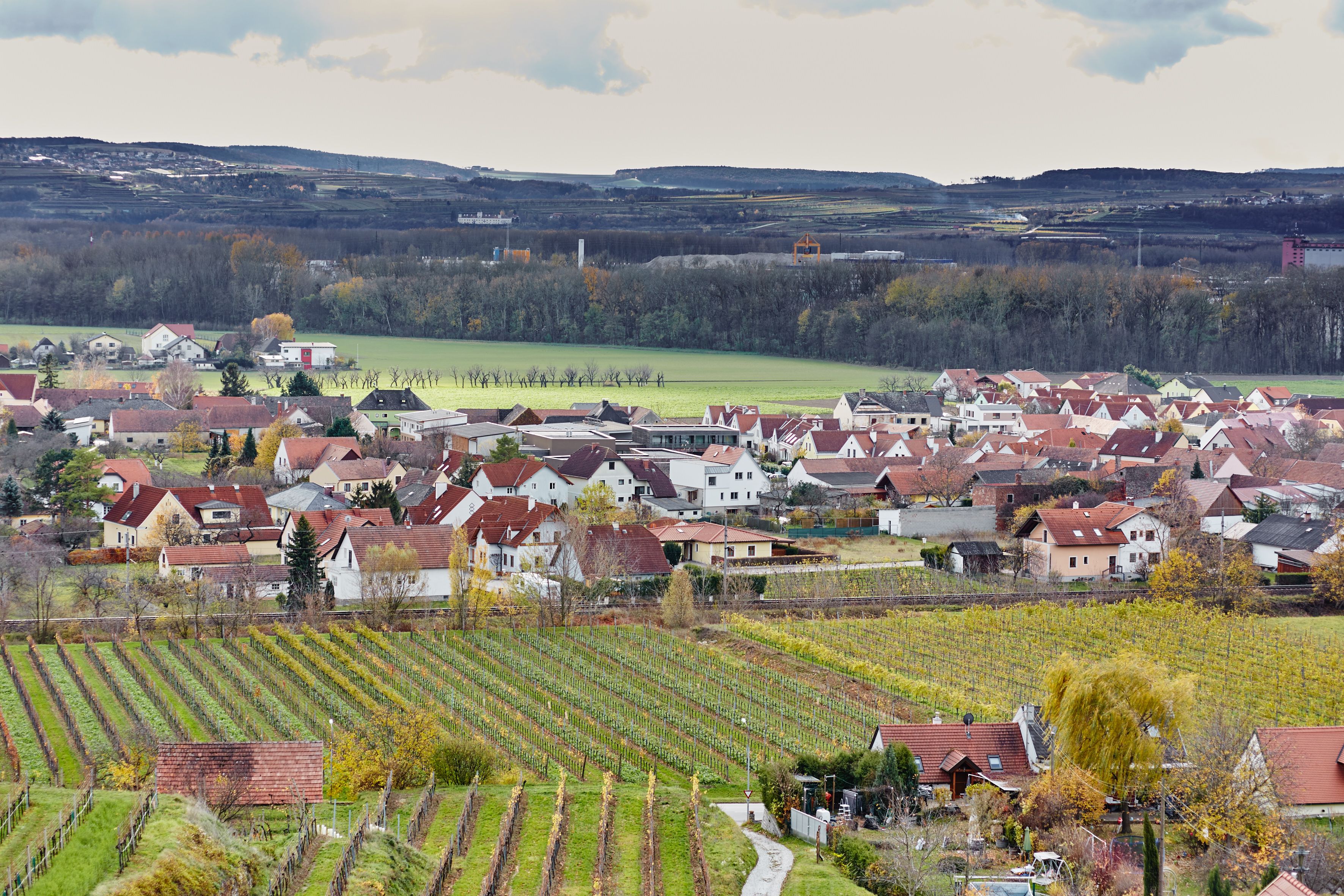 View of the village of Rohrendorf with vineyards in the foreground and hills in the background.