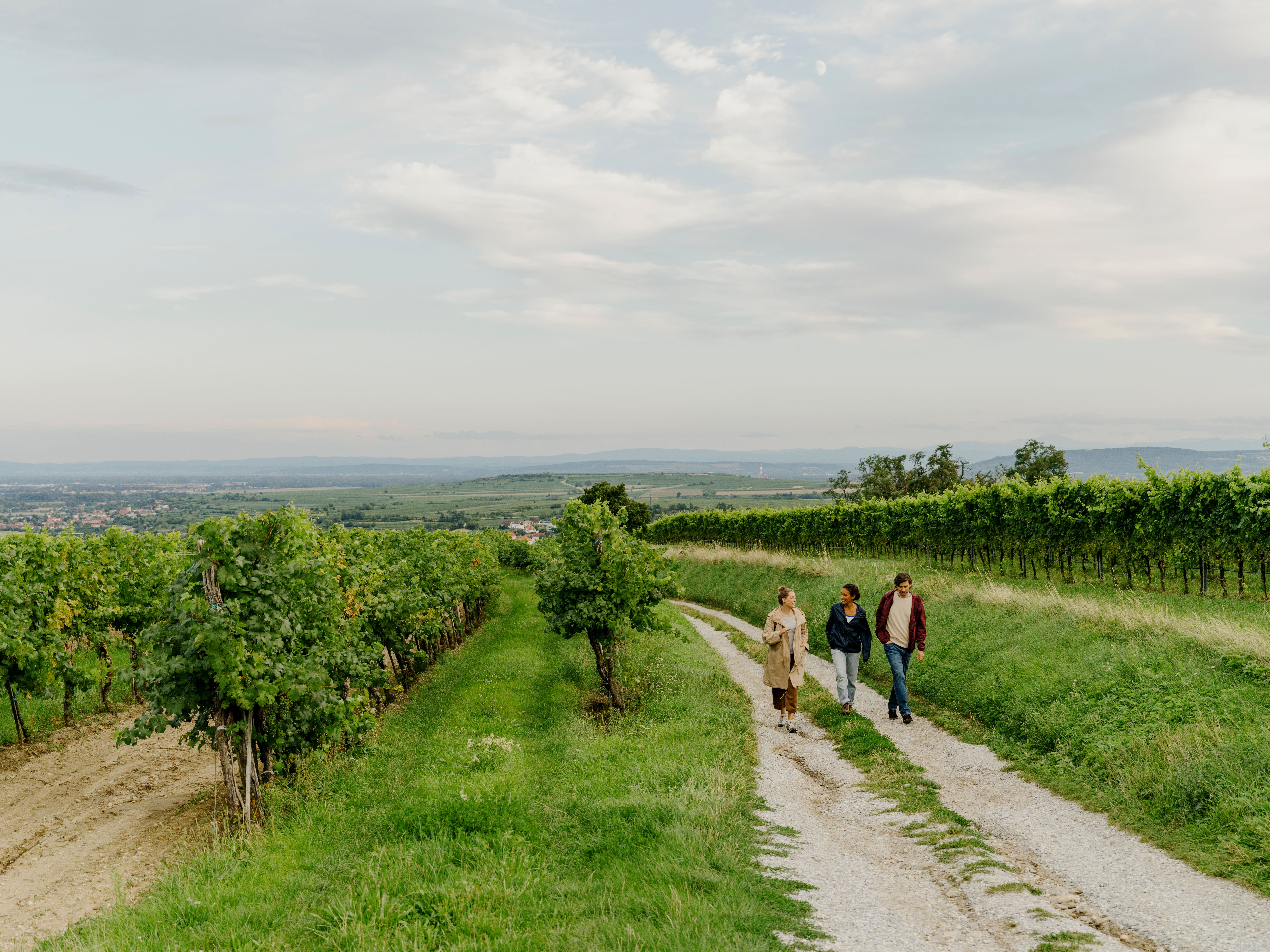 Two people walk past a large sculpture made of spherical elements, surrounded by vineyards.