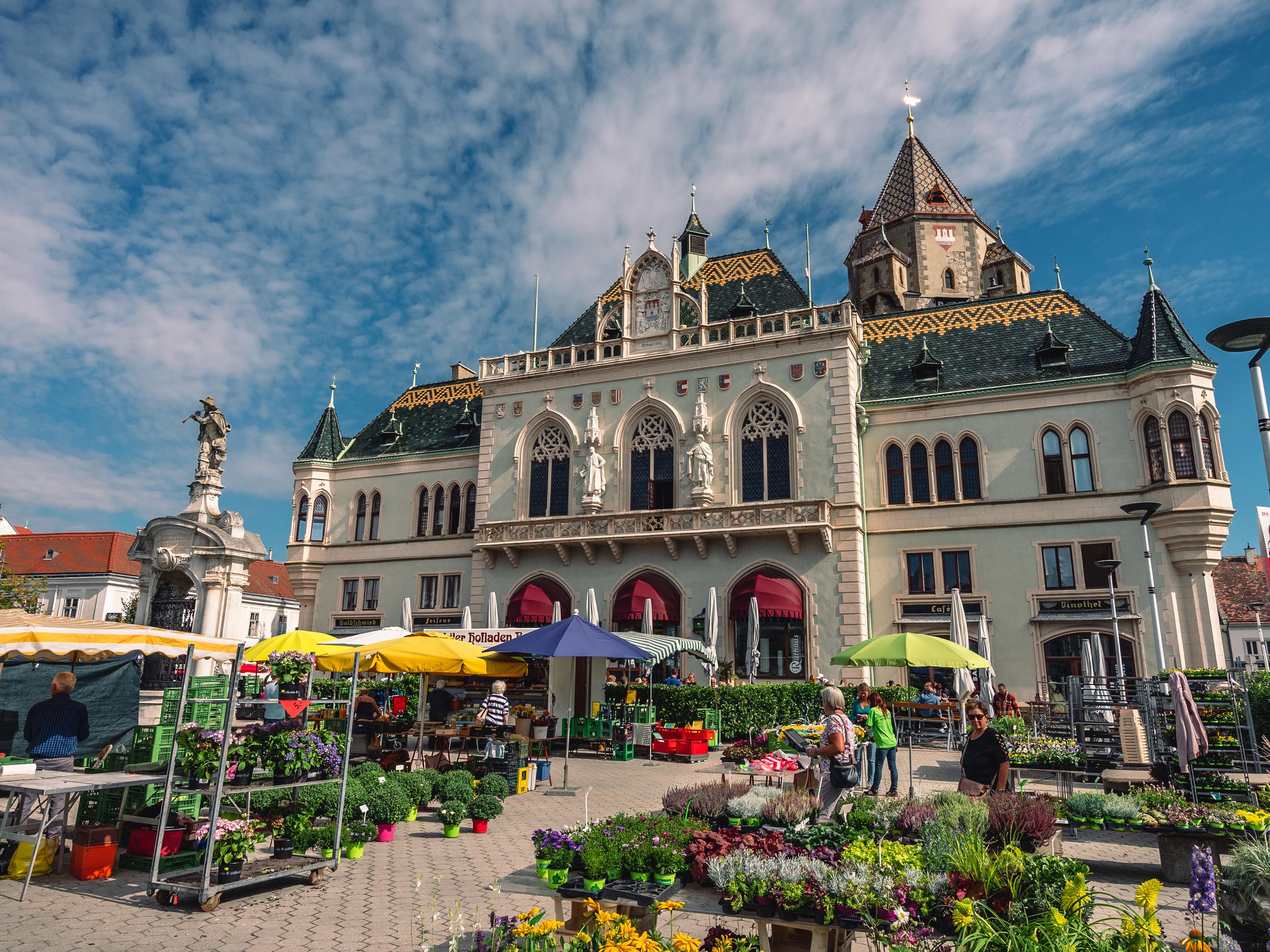 Weekly market in front of the town hall in Korneuburg with flower stalls and visitors.