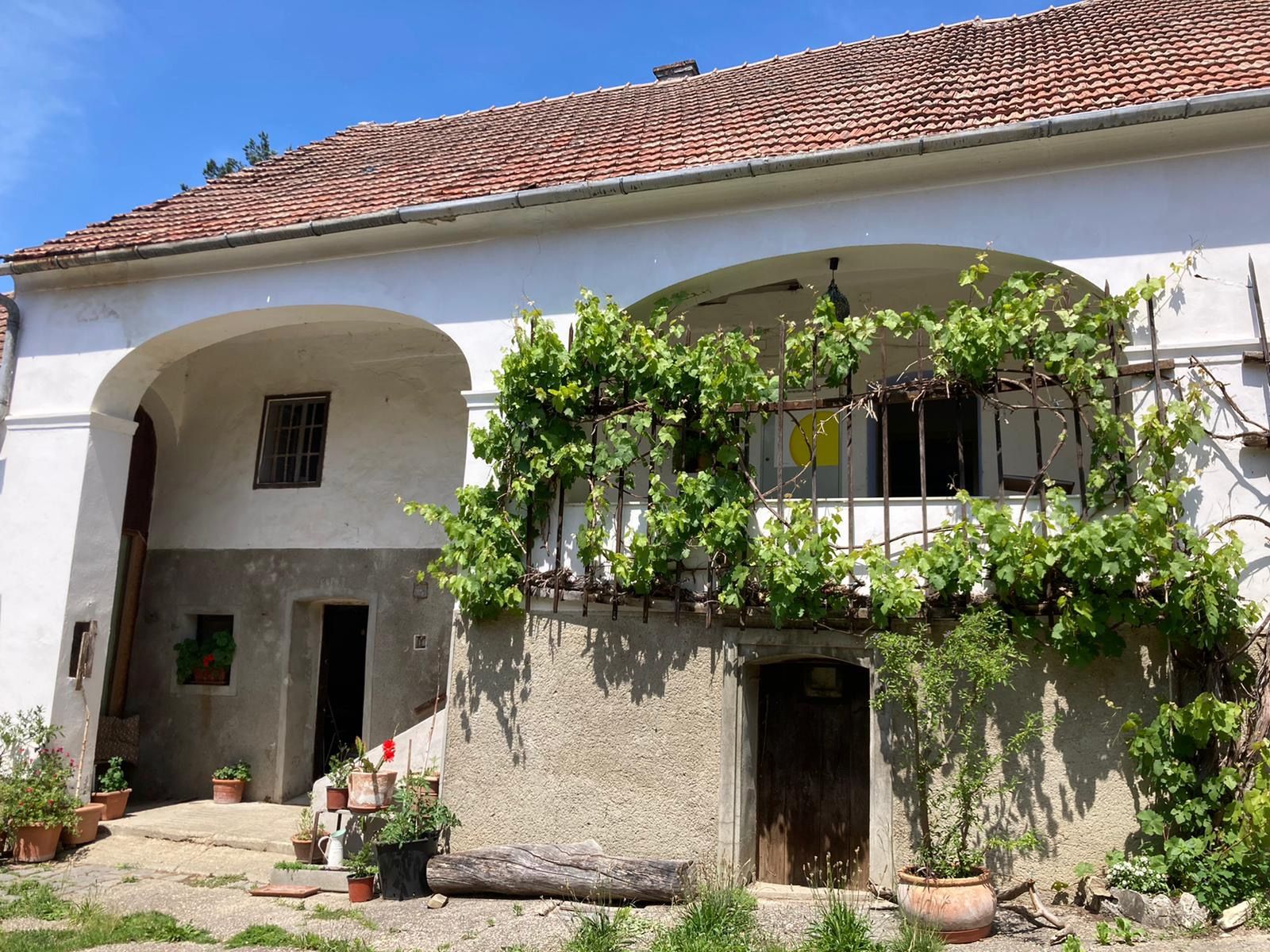 View of the old house with two arches and a balcony where the railing is planted with vines.
