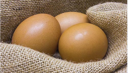 Organic eggs Hobl