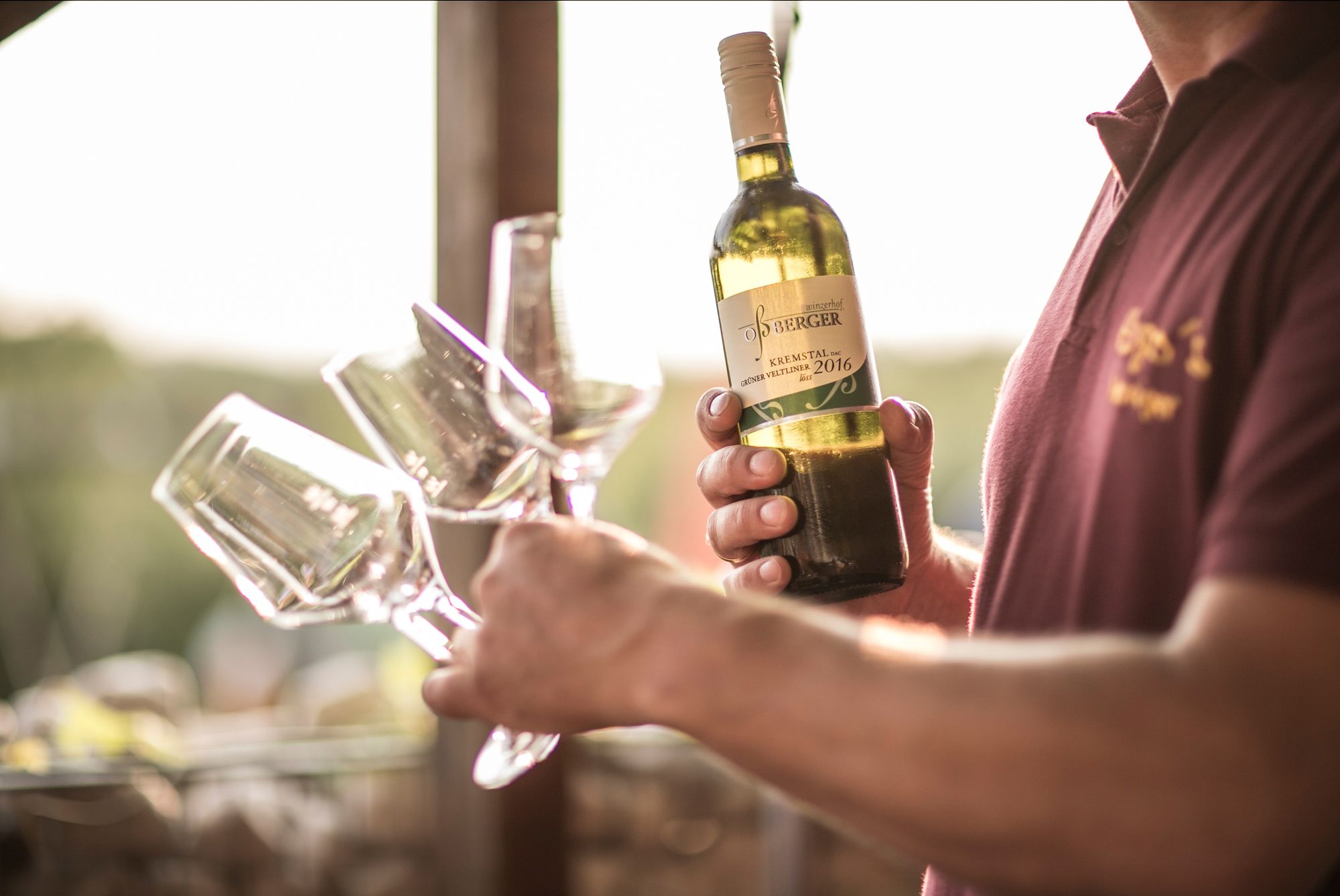 Person holding a bottle of 2016 Grüne Veltliner and several glasses of wine.