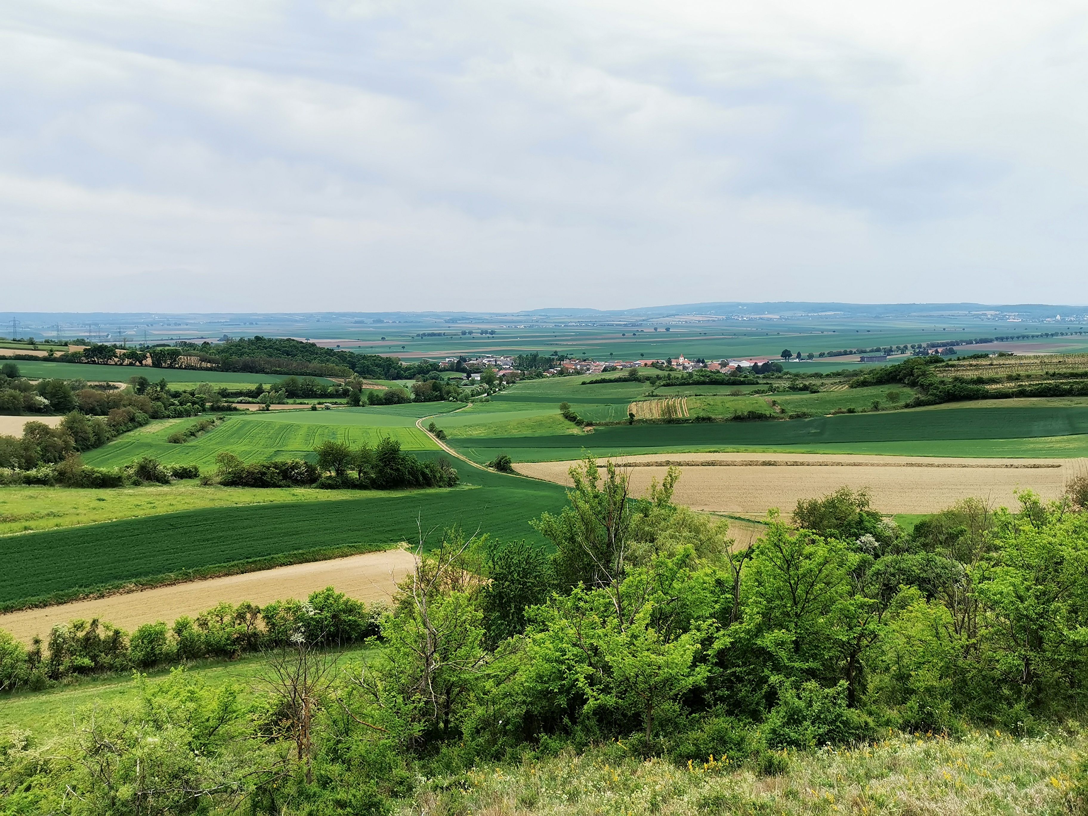 Landscape in the Weinviertel with fields and hills.
