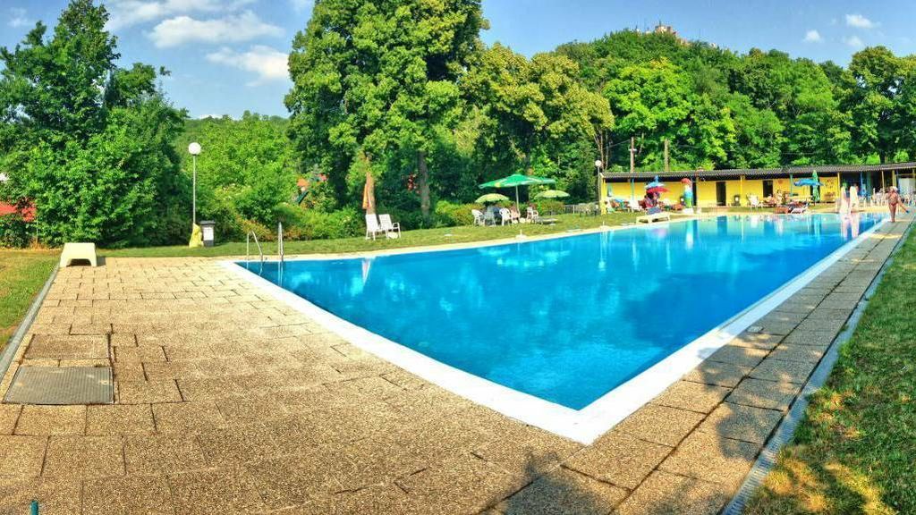 An outdoor pool with clear water, surrounded by trees and sun loungers under parasols.