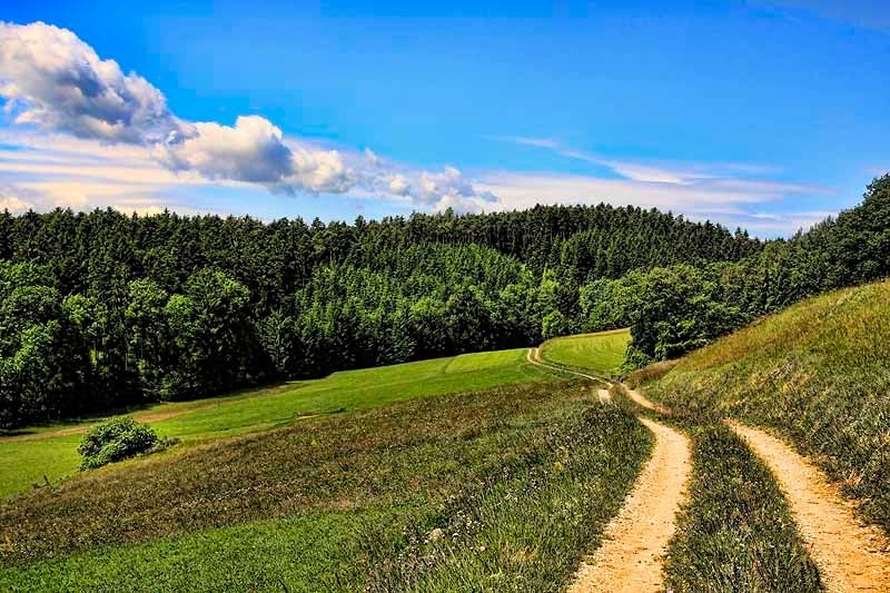 Landscape on the Jauerling