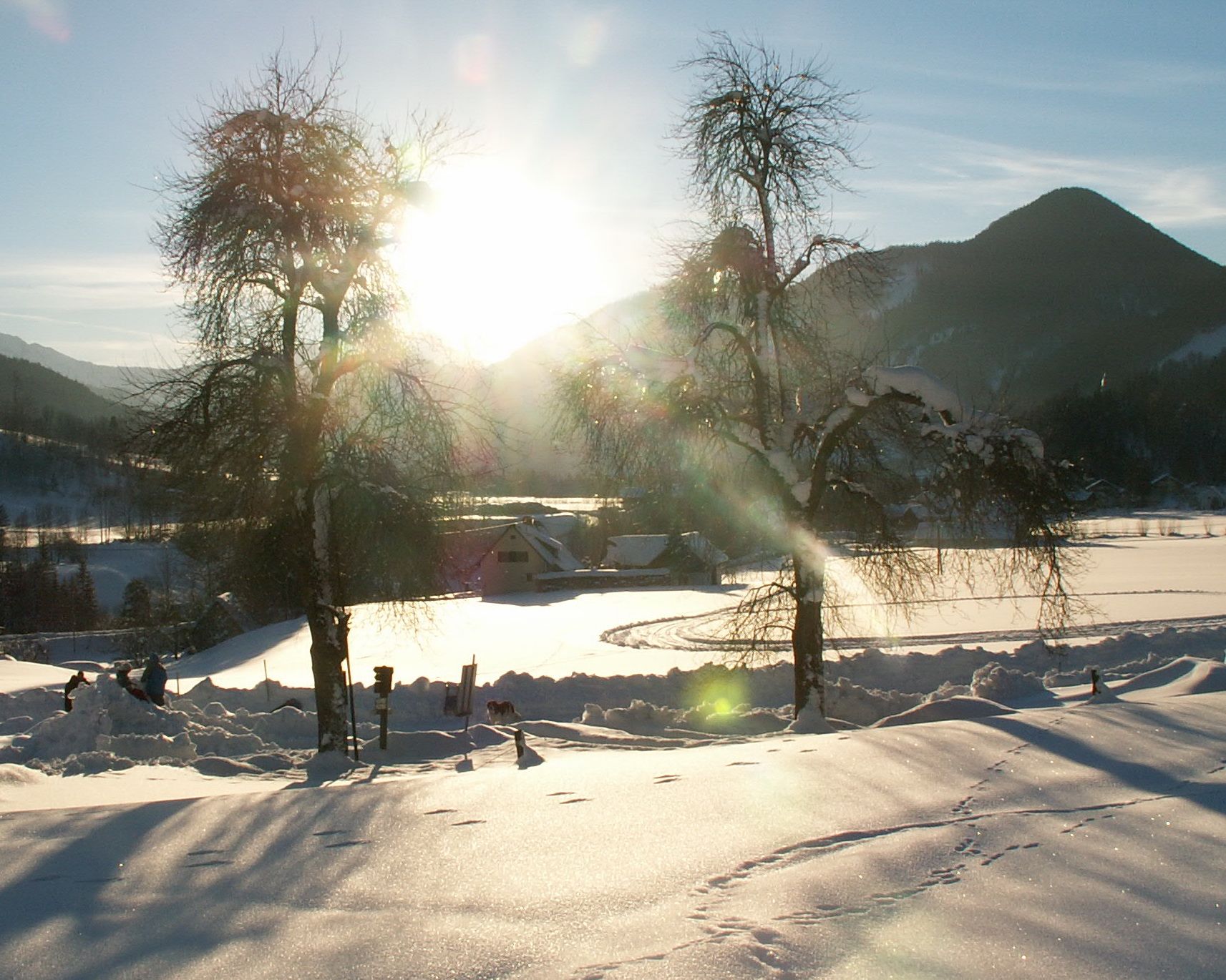 Winter landscape