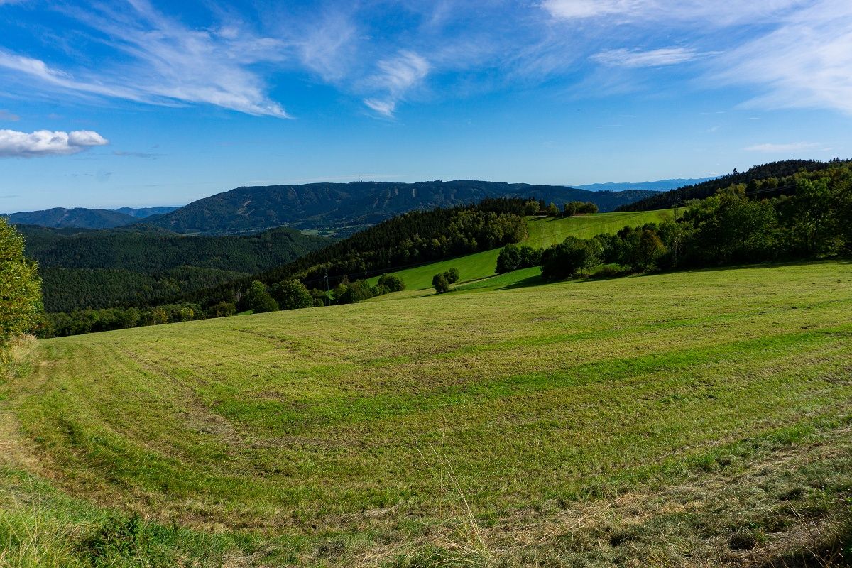 View to the Jauerling