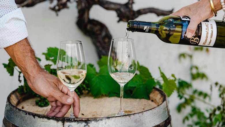 Viticulture Böck