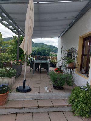 Covered terrace with table, chairs and plants in pots, surrounded by green landscape.