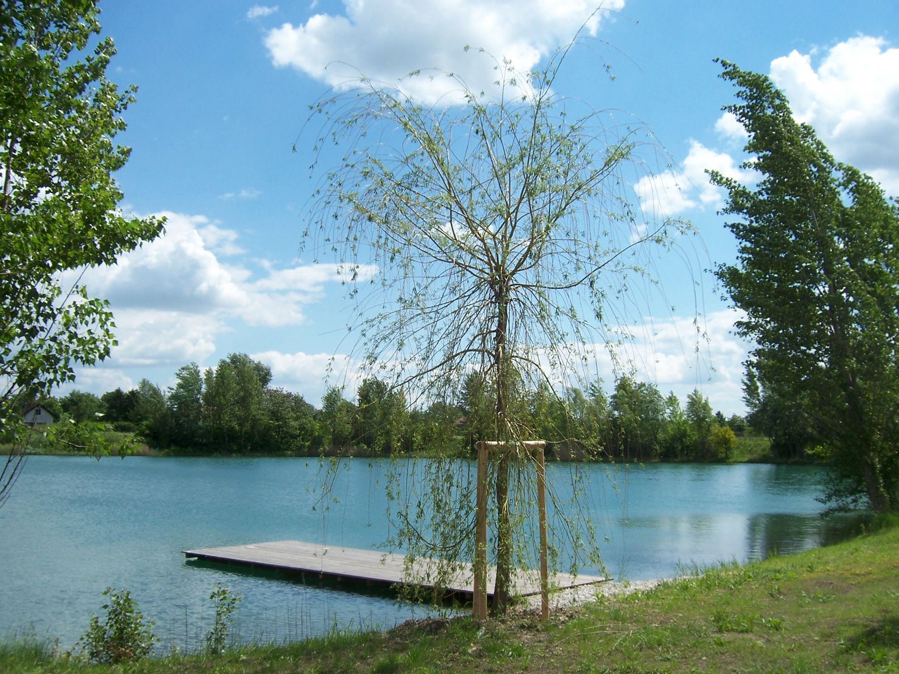 A small jetty on a lake with trees and a blue sky in the background.