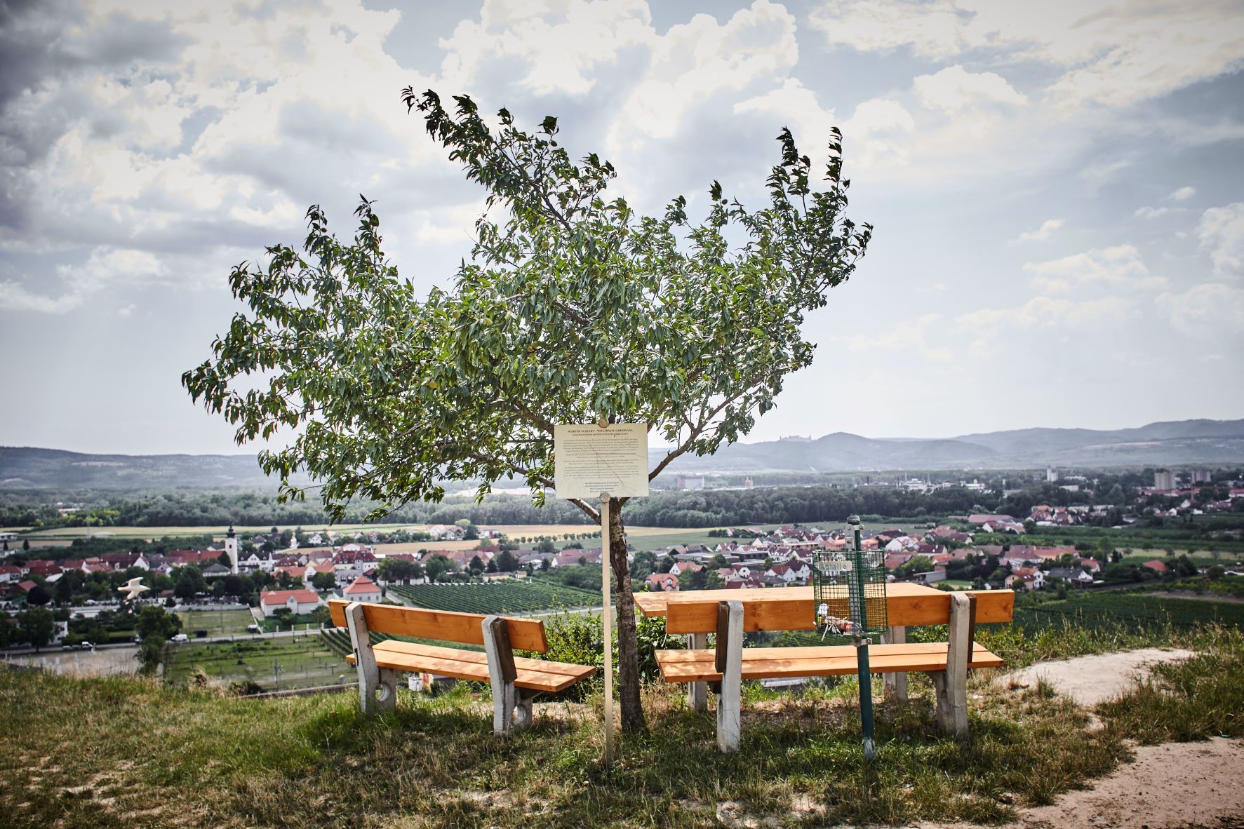 Two benches under a tree with a view of a village and hills in the background.