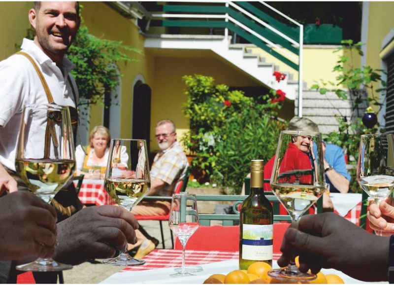 People clink glasses of wine in the sunny courtyard.
