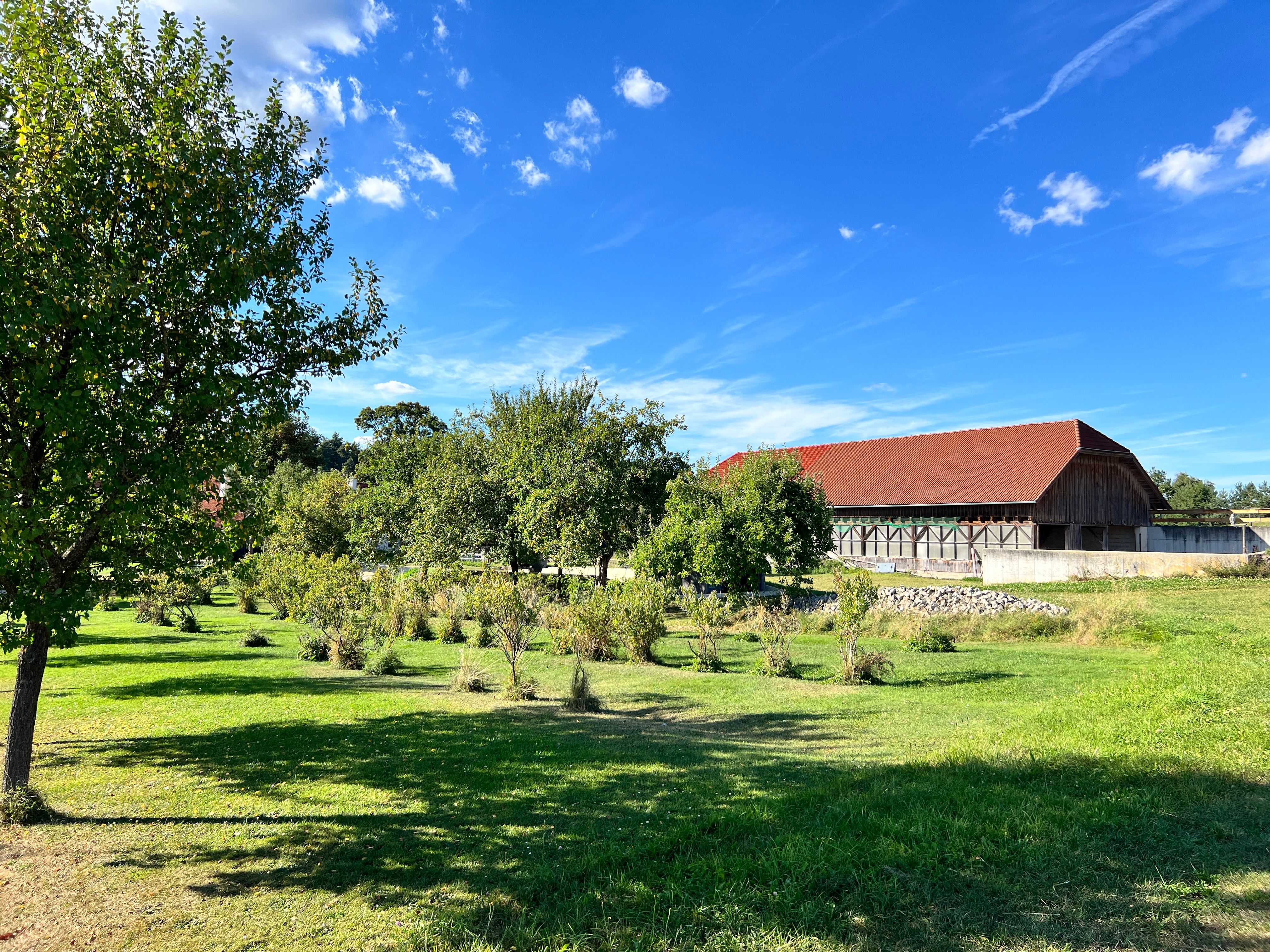 Orchard
