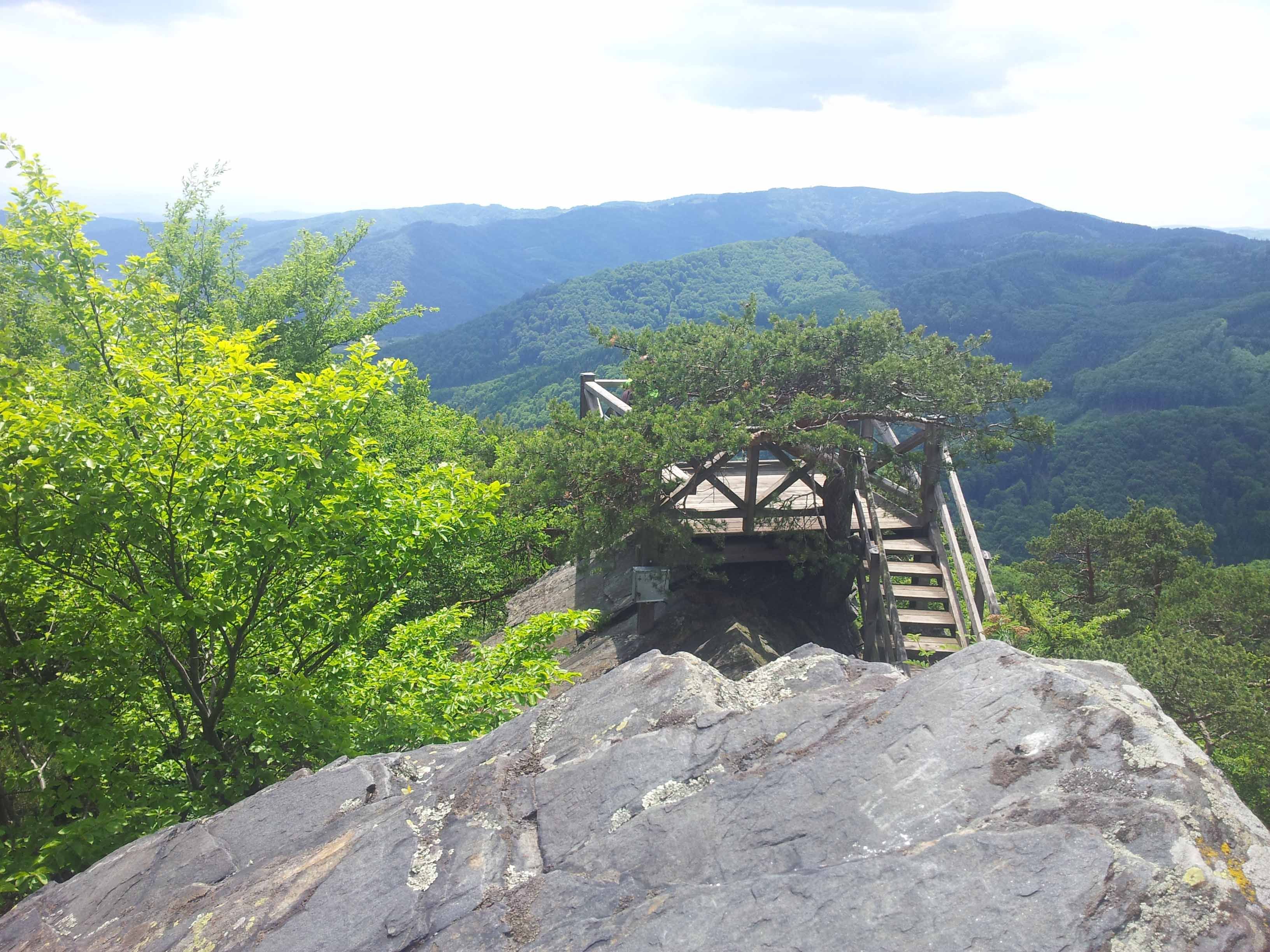 Viewing platform in a wooded mountain landscape.