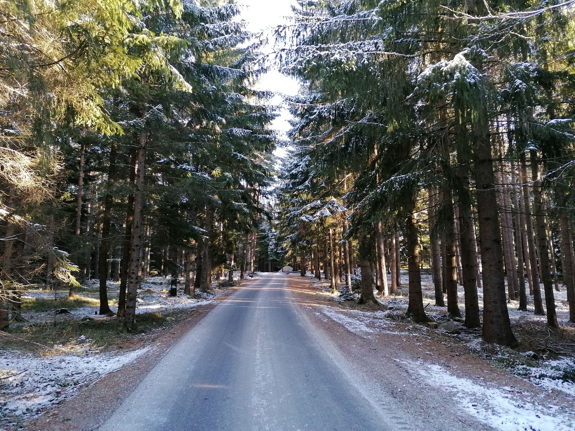 Aigenberg