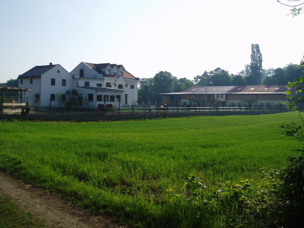 Rear view of a large white house with adjoining stable and green meadow in the foreground.