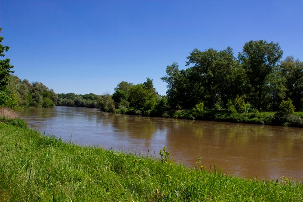 River with green banks and trees under a clear blue sky.
