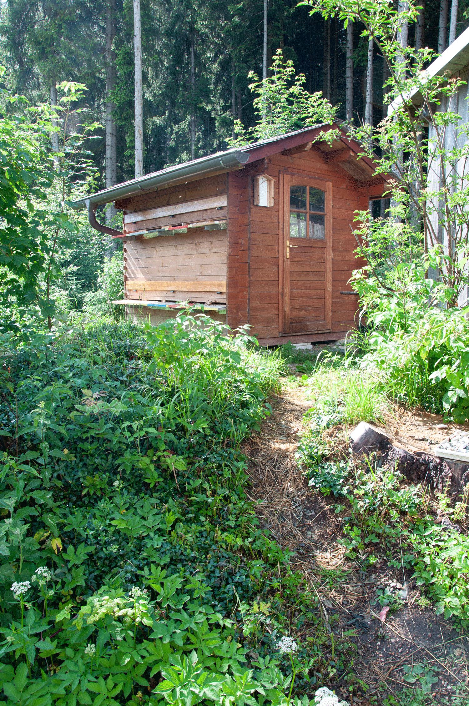Vacation cottage Böhm, Bienen