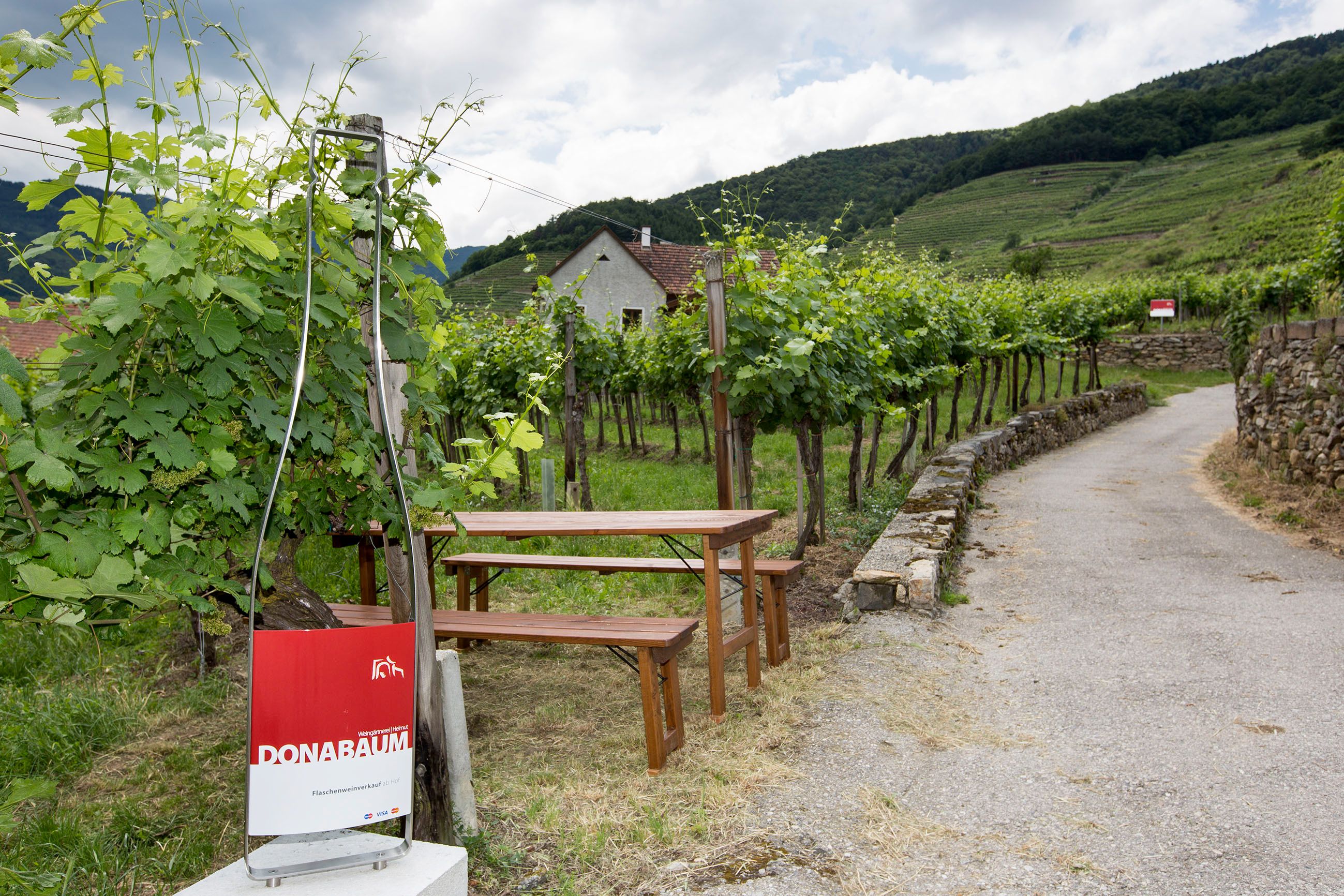 Hiking trail at the Donabaum Helmut winery