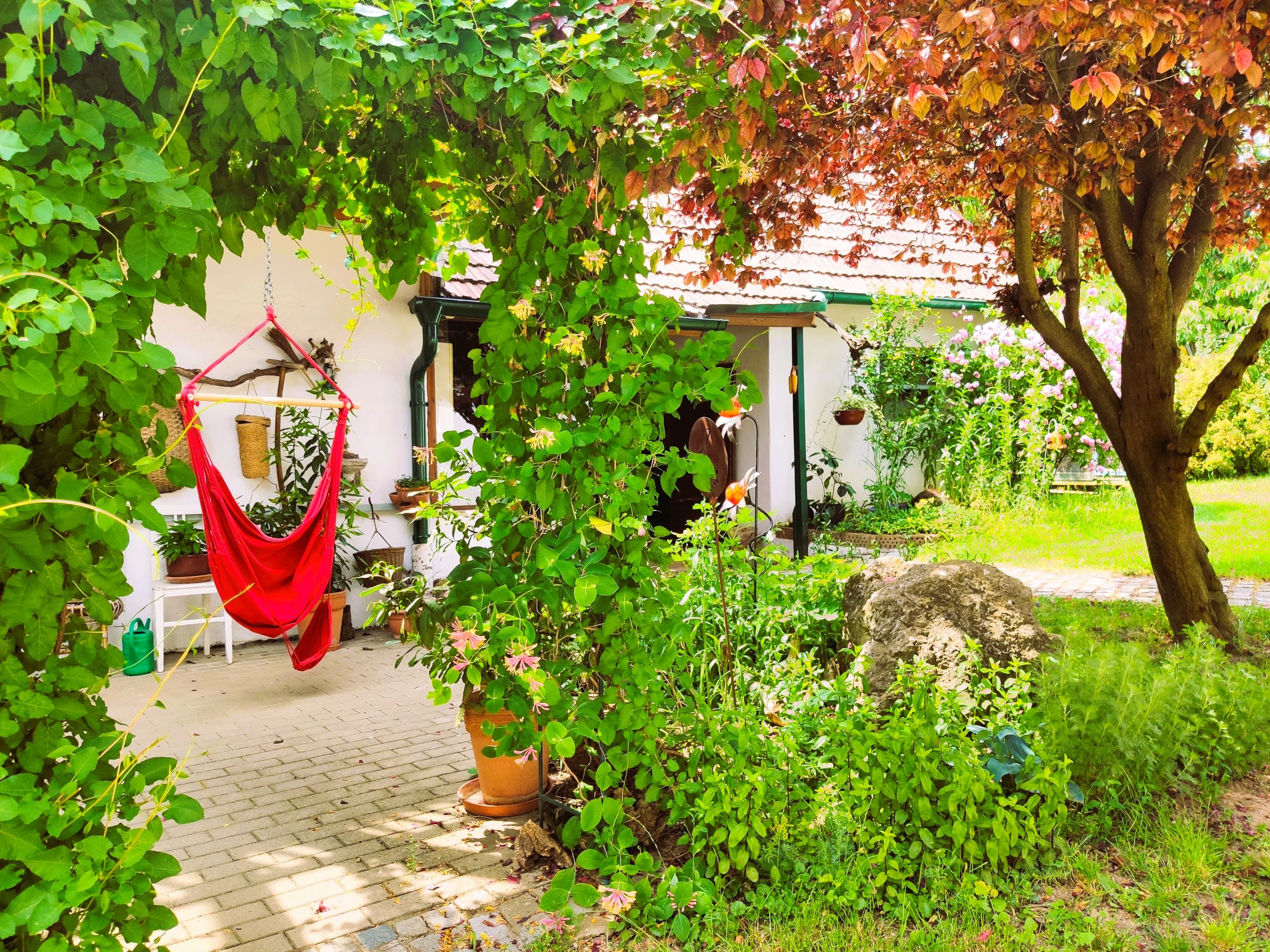 A green inner courtyard with hanging chairs, plants and trees.
