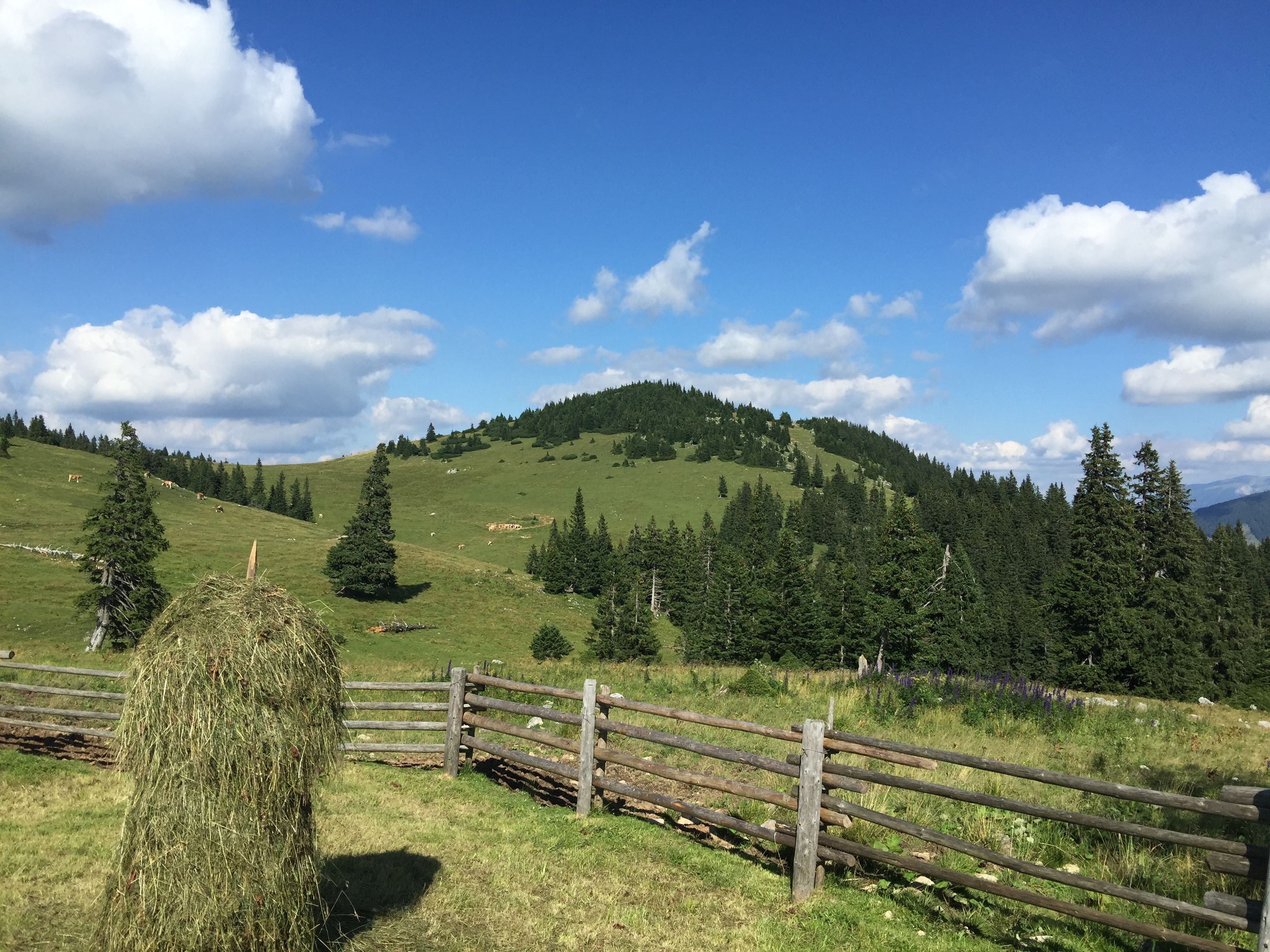 Surroundings St. Aegyd am Neuwalde
