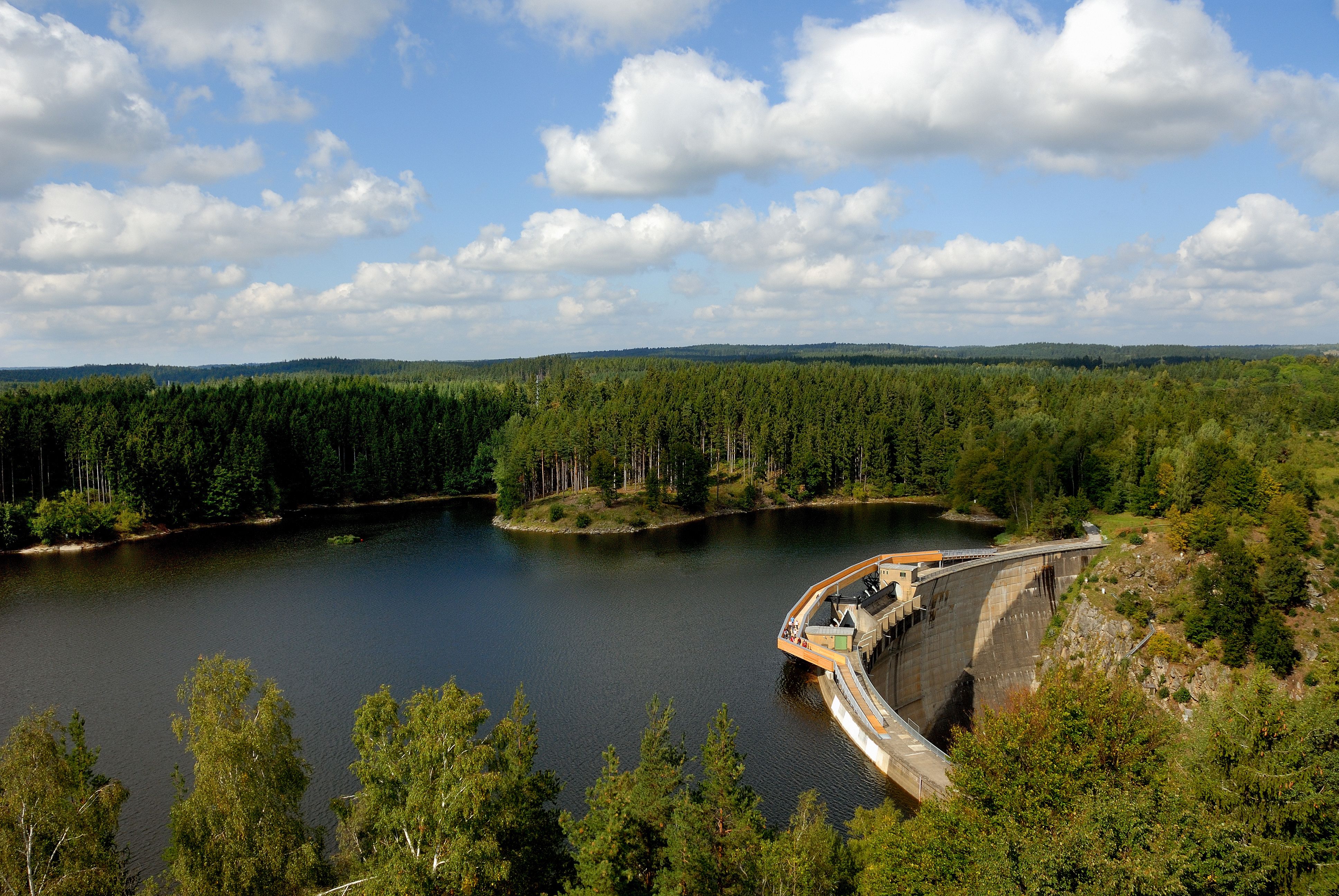 Landscape with dam and forest in the background.