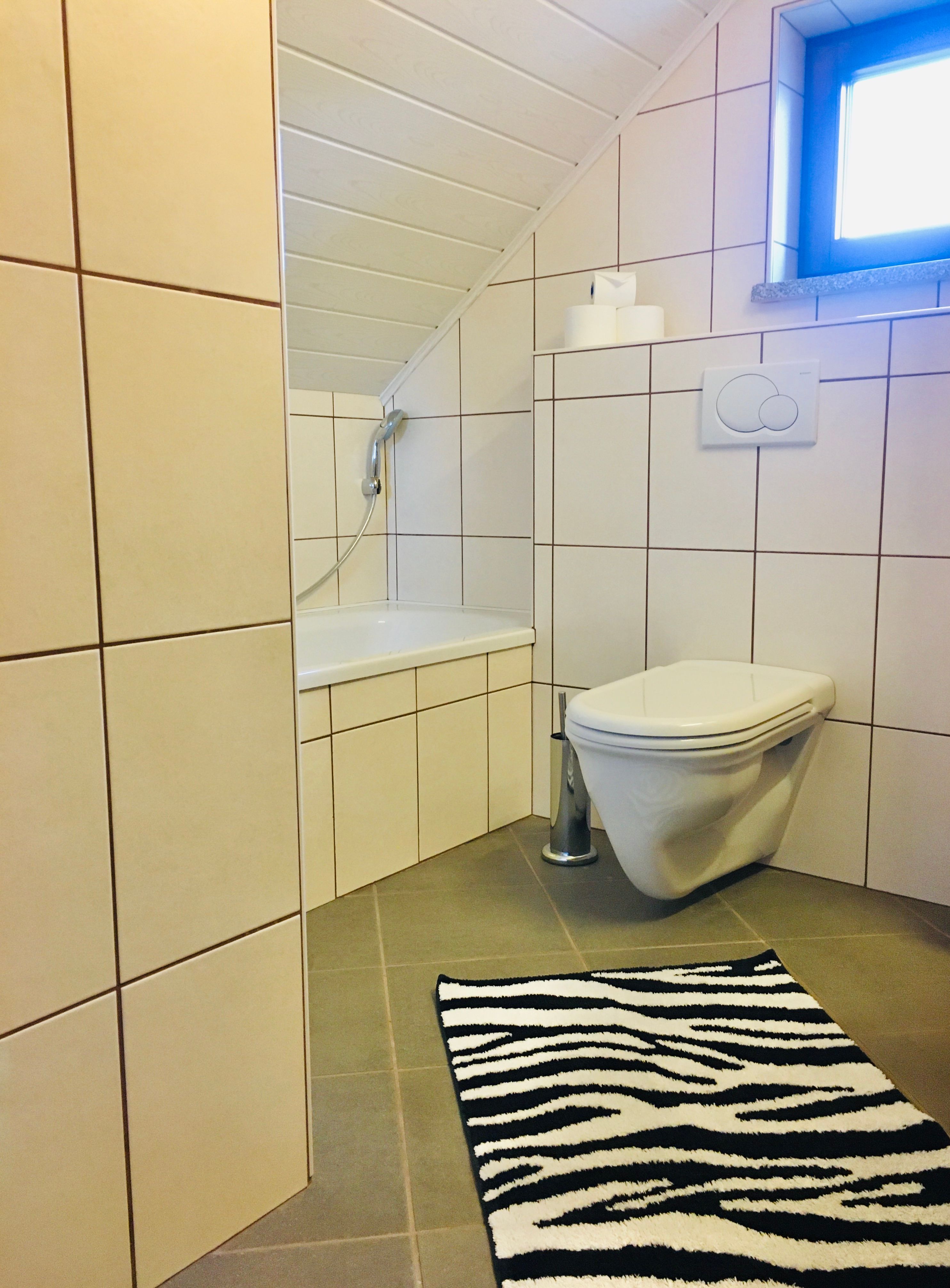 Modern bathroom with bathtub, toilet and zebra carpet.