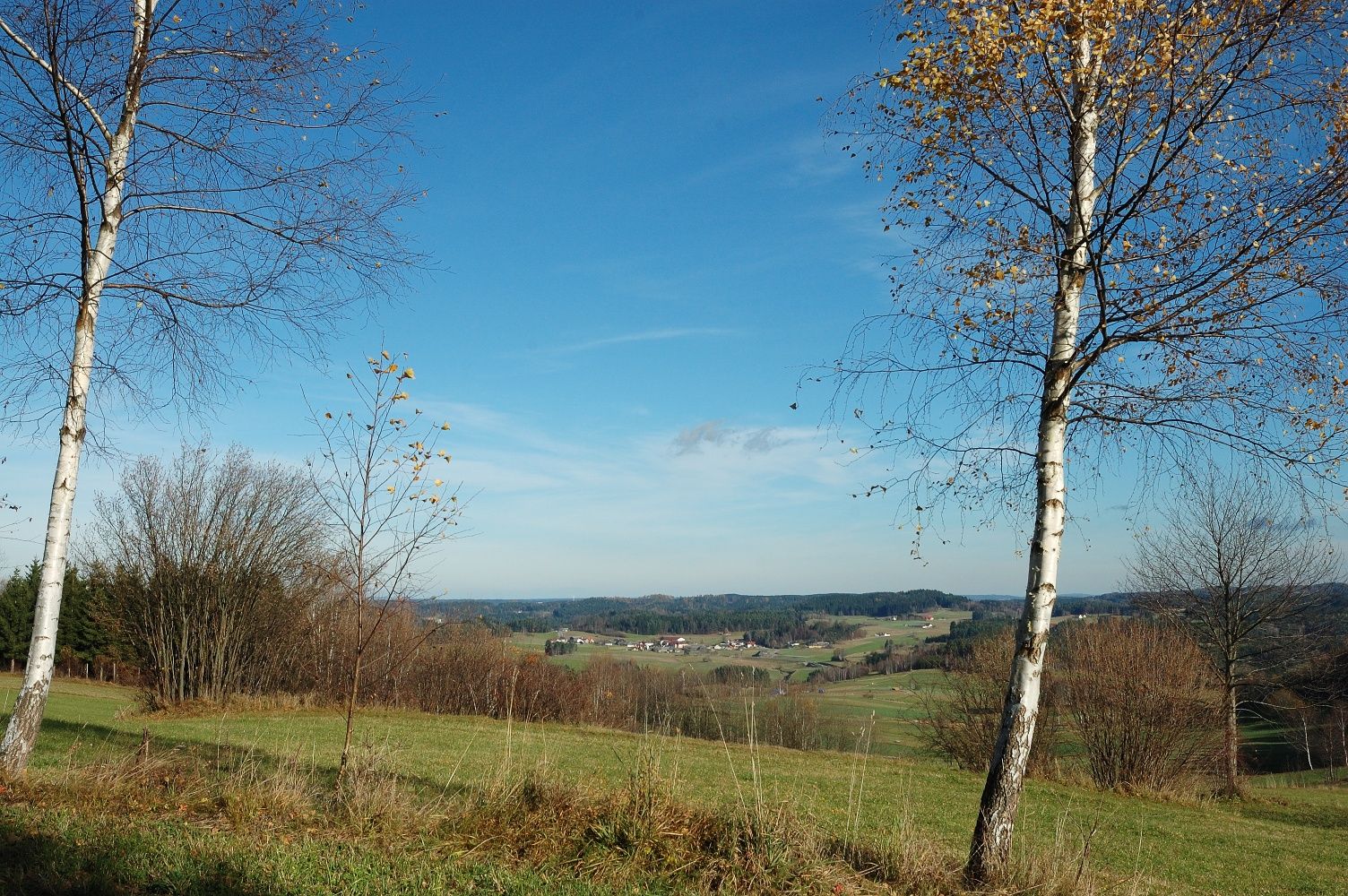 Hiking trail-Hochberg