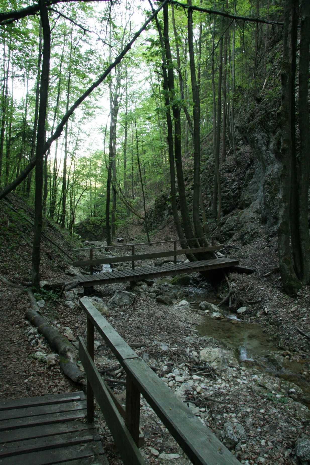 Wooden bridge over a small stream in a wooded valley.