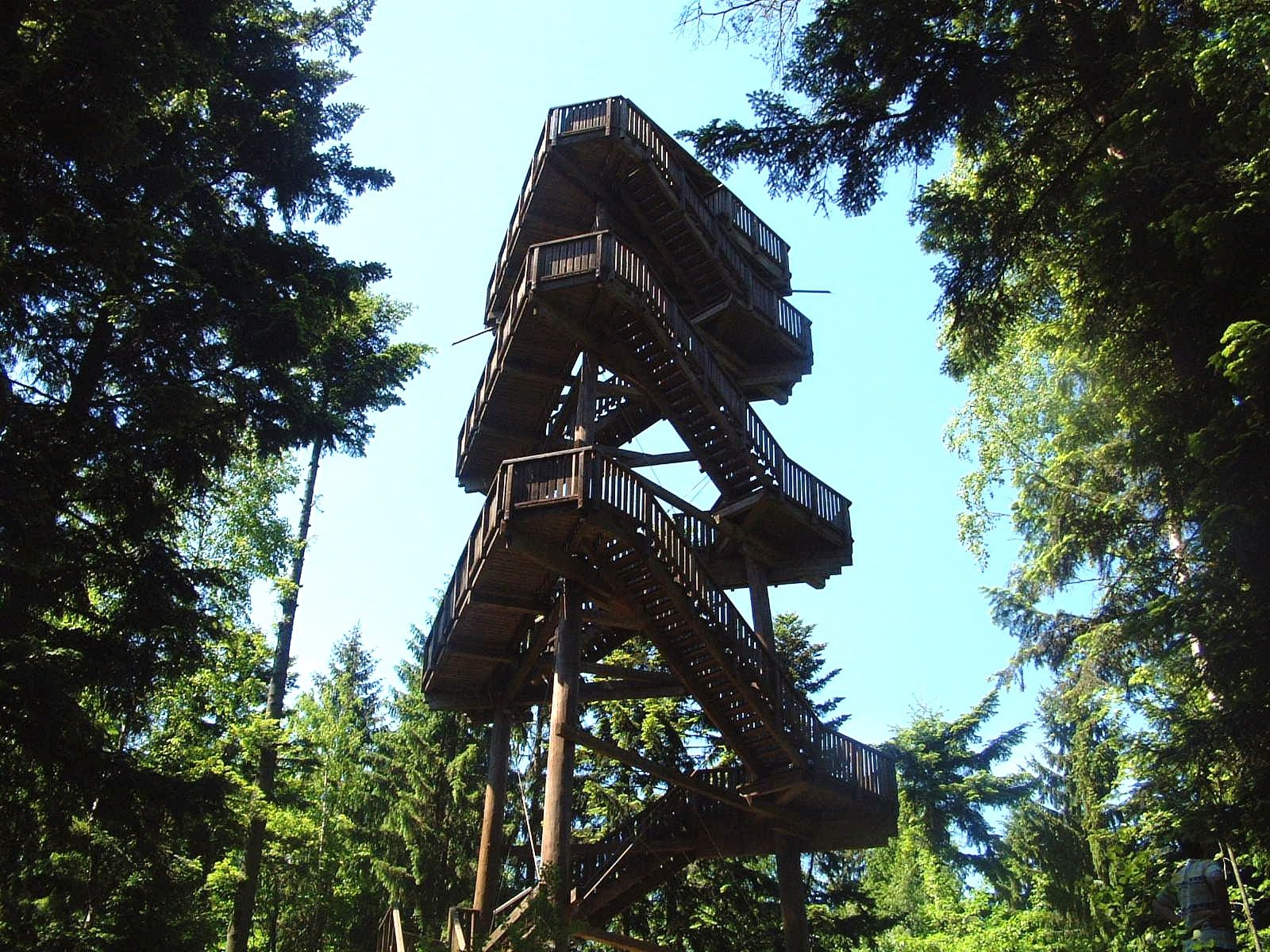 Wooden lookout tower in the forest with blue sky.
