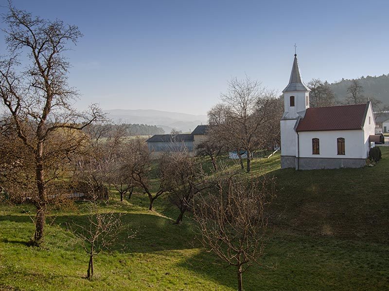 Landscape with church and trees under a clear sky.