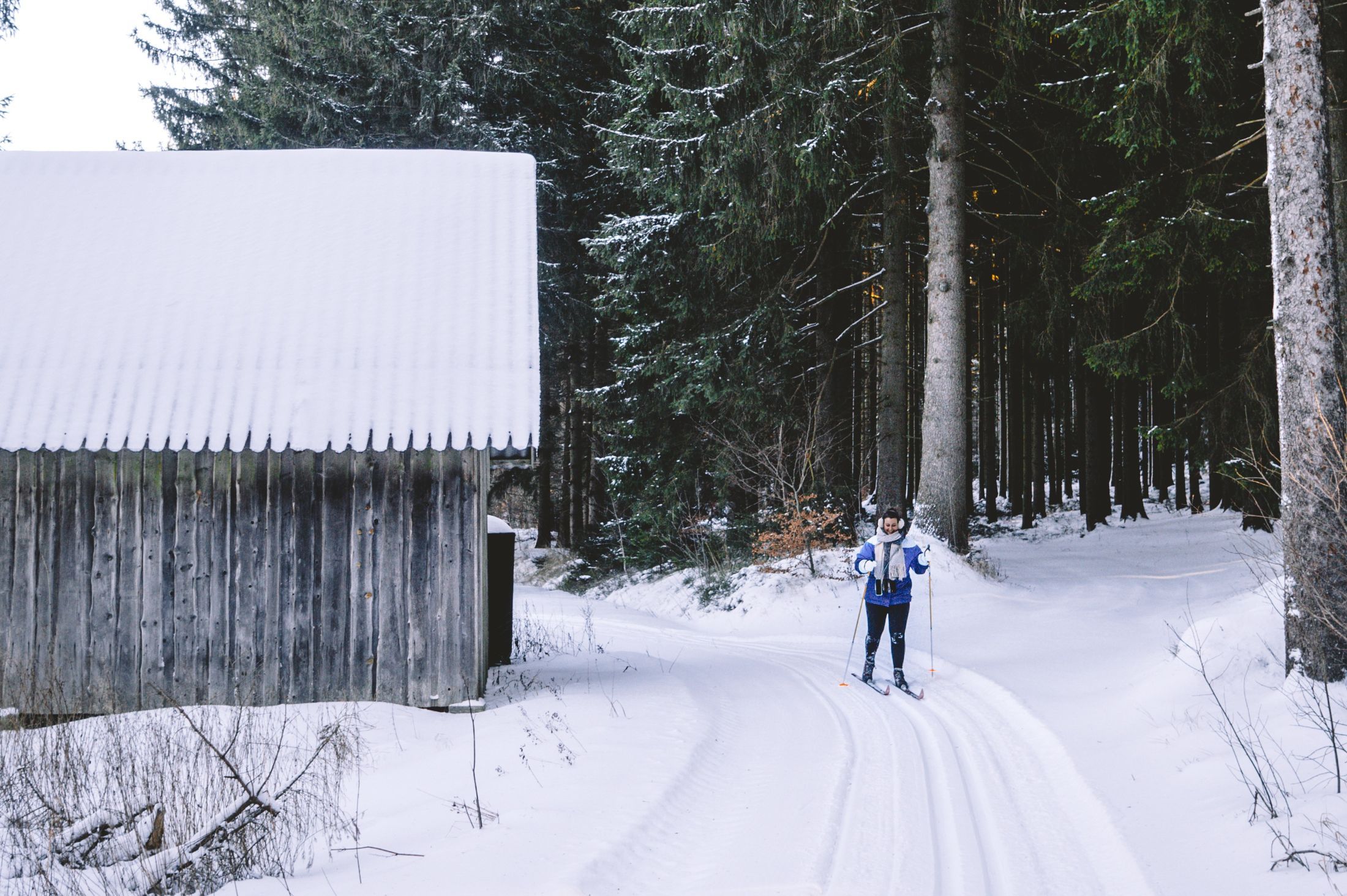 Person cross-country skiing in the snowy forest next to a wooden hut.