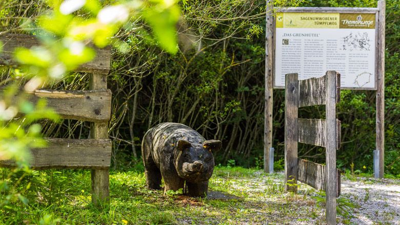 Wooden sculpture of a wild boar on a nature trail with information board in the background.