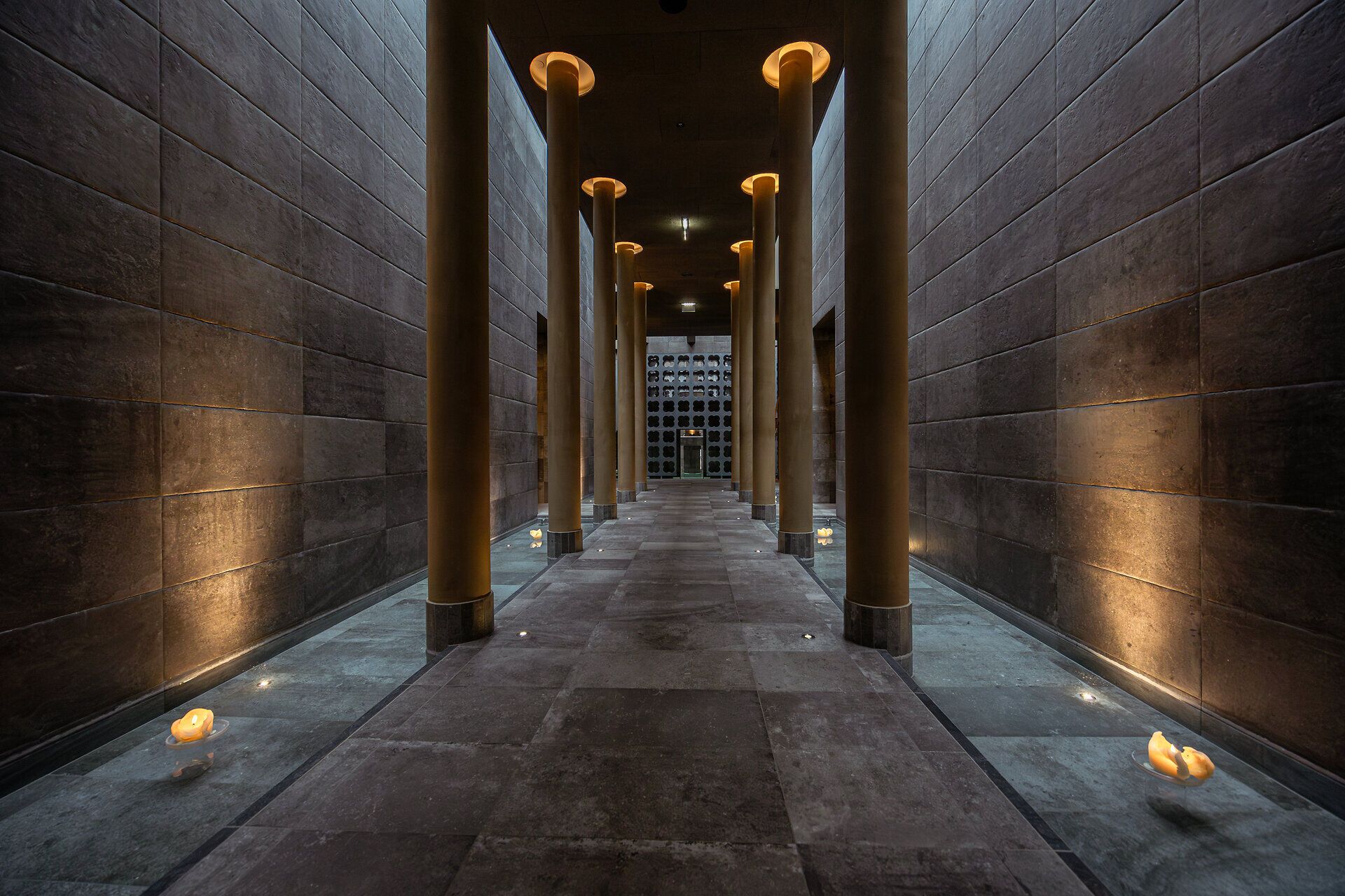 Modern villas on water with reflective facades and stairs, surrounded by nature.