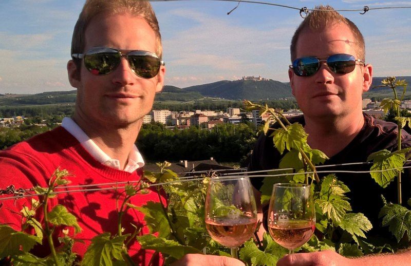 Two men in sunglasses clink glasses in a vineyard.