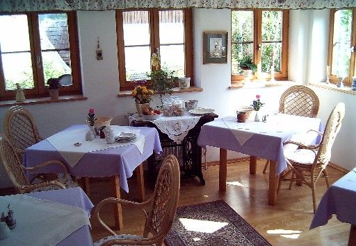 A cozy breakfast room with wicker chairs and tables with purple tablecloths, surrounded by windows with a view of the greenery.