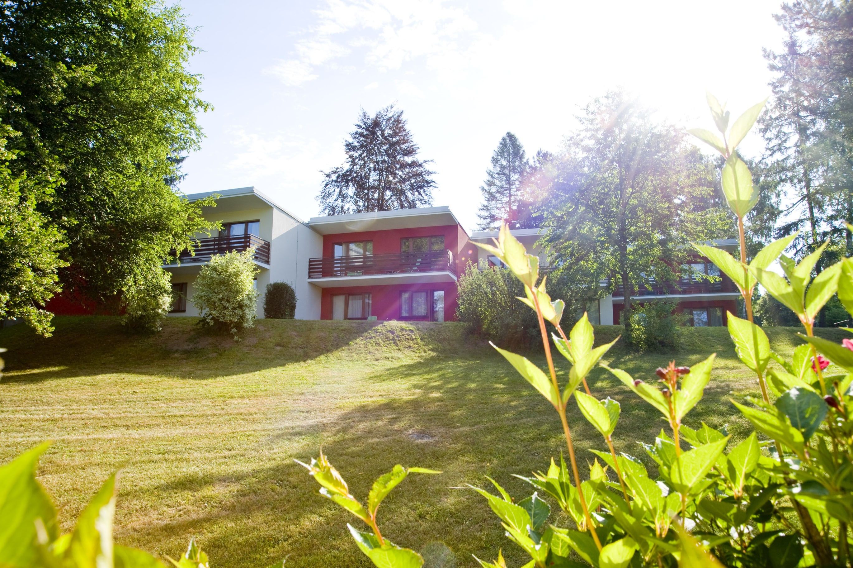 Modern buildings with balconies in a green, sunny environment.