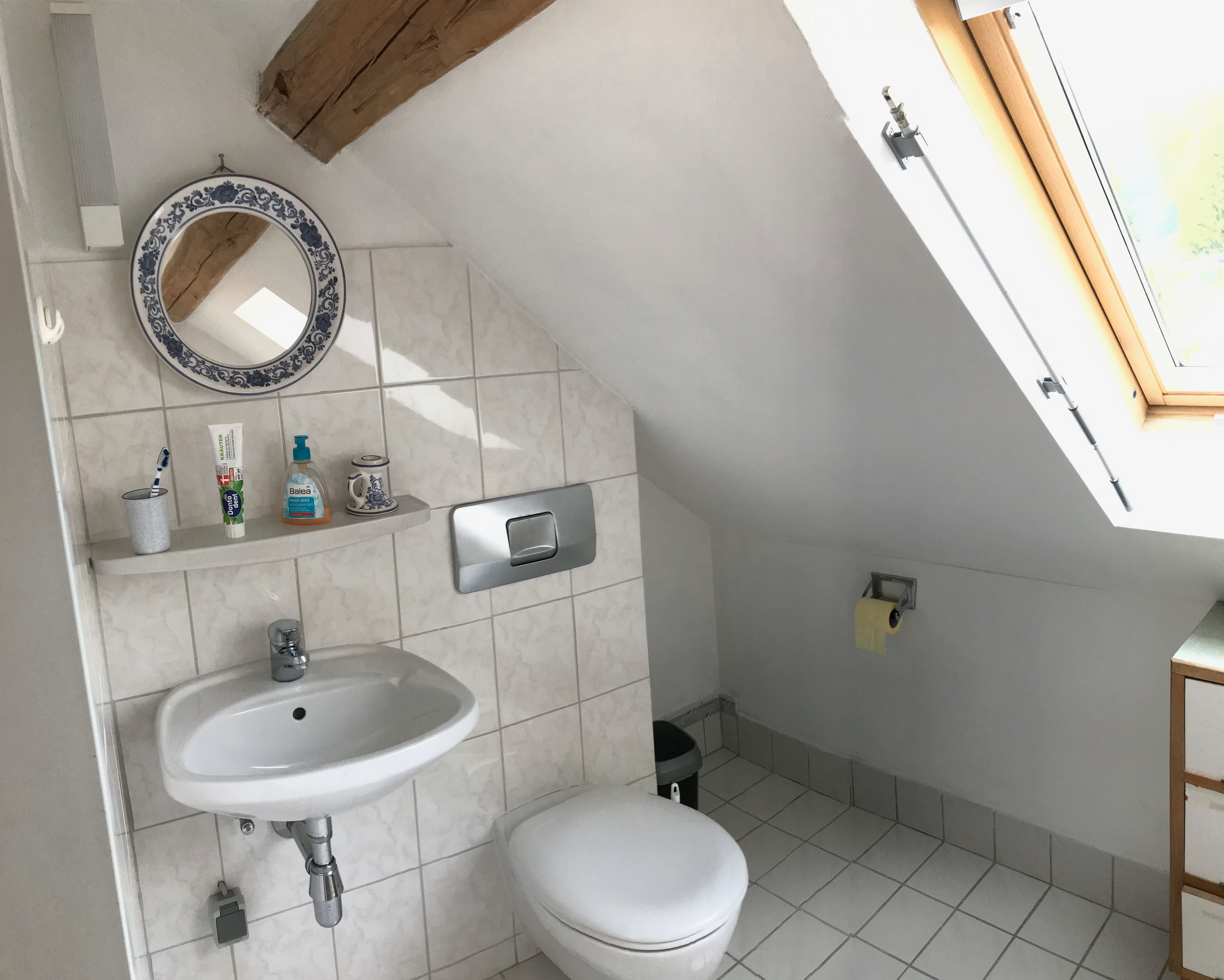 Toilet in the attic 