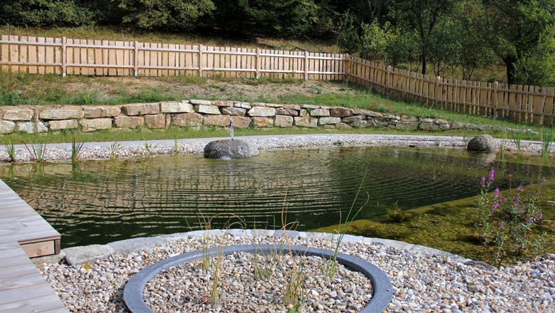 Natural pond